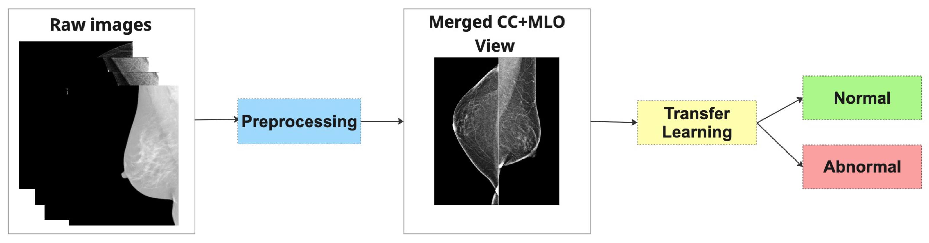 Jimaging 11 00247 g004