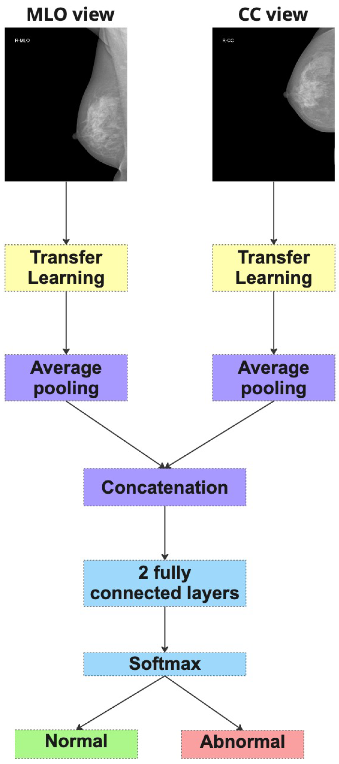 Jimaging 11 00247 g005