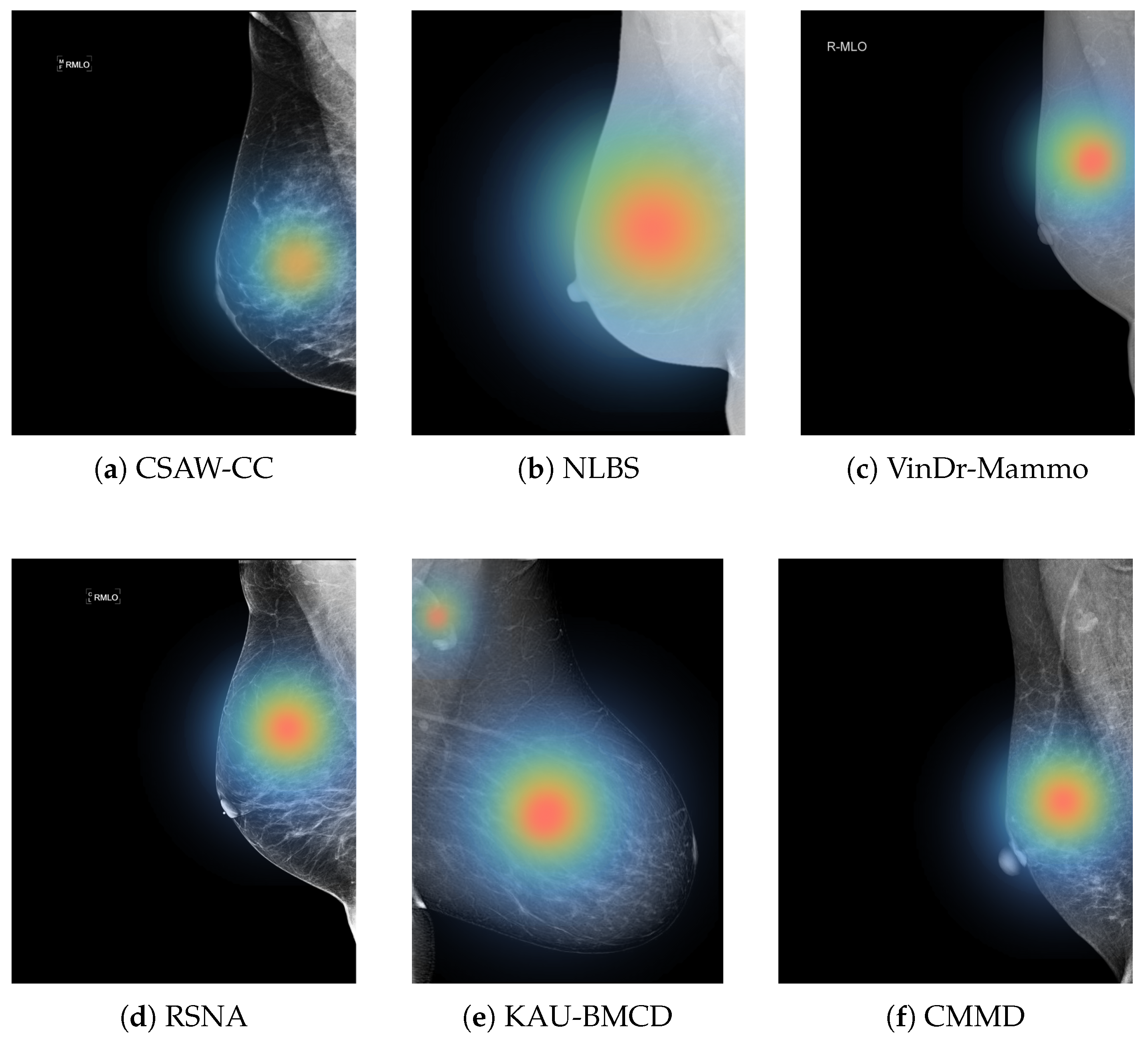 Jimaging 11 00247 g012