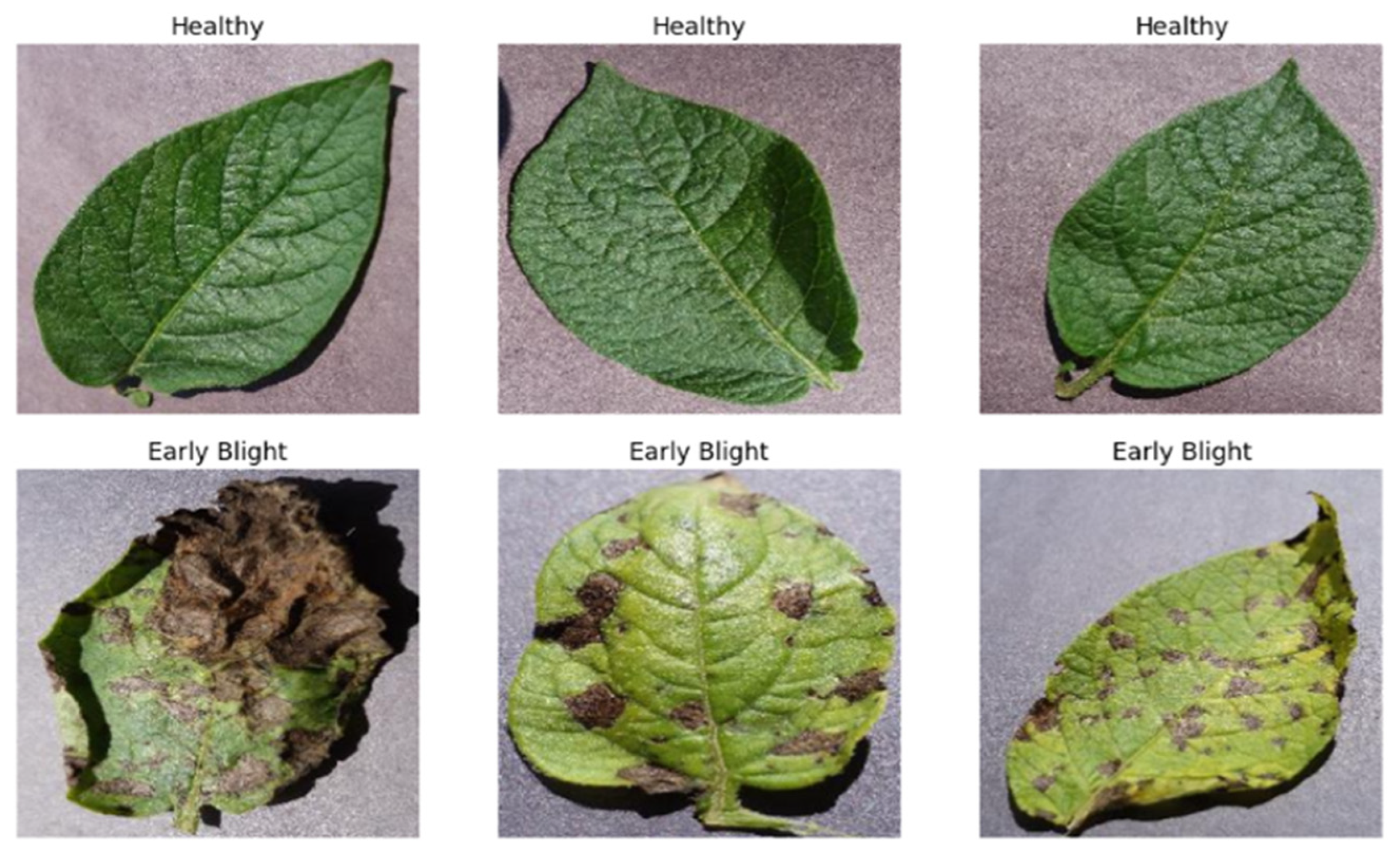 Jimaging 11 00256 g001