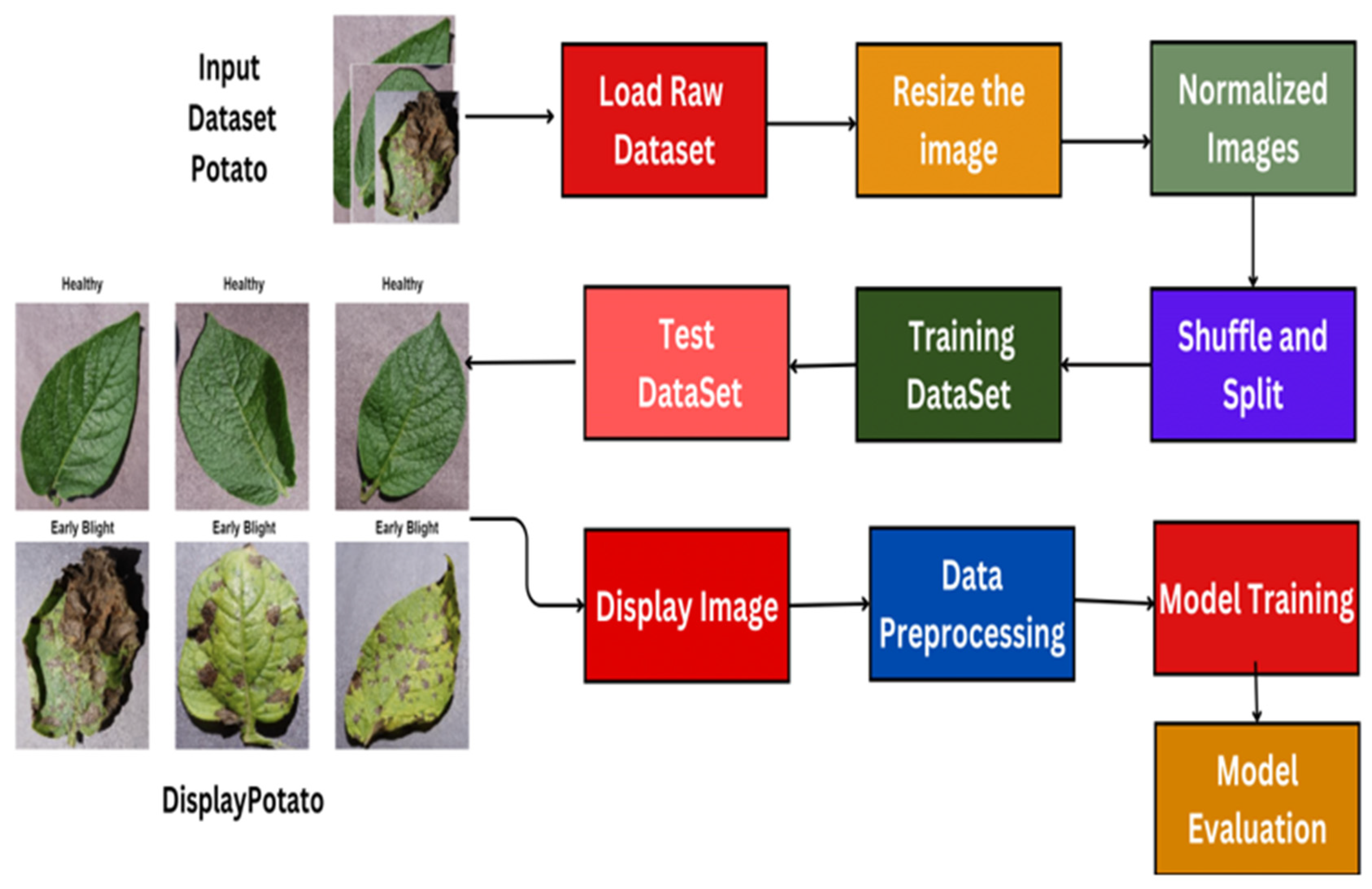Jimaging 11 00256 g002