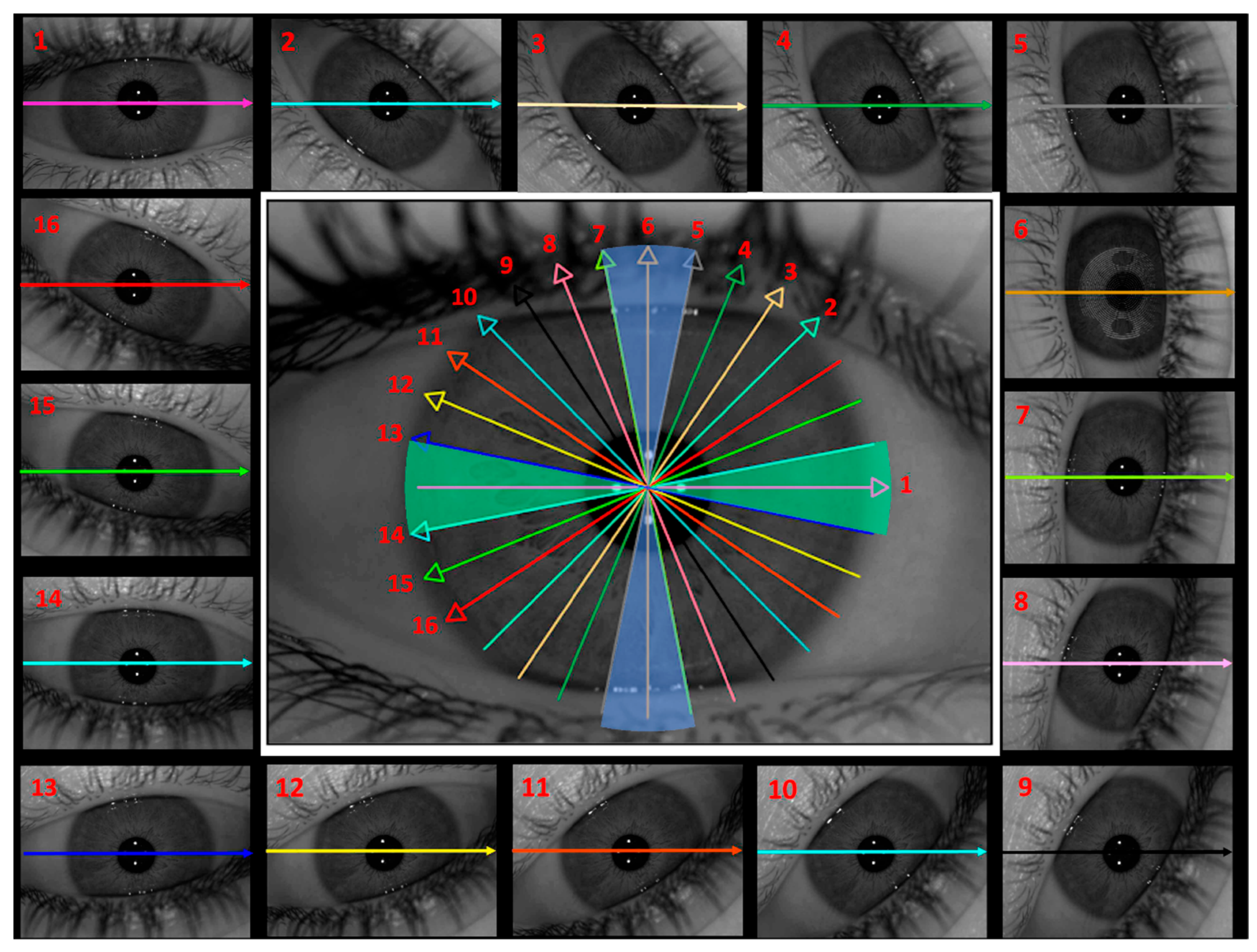 Jimaging 11 00257 g002