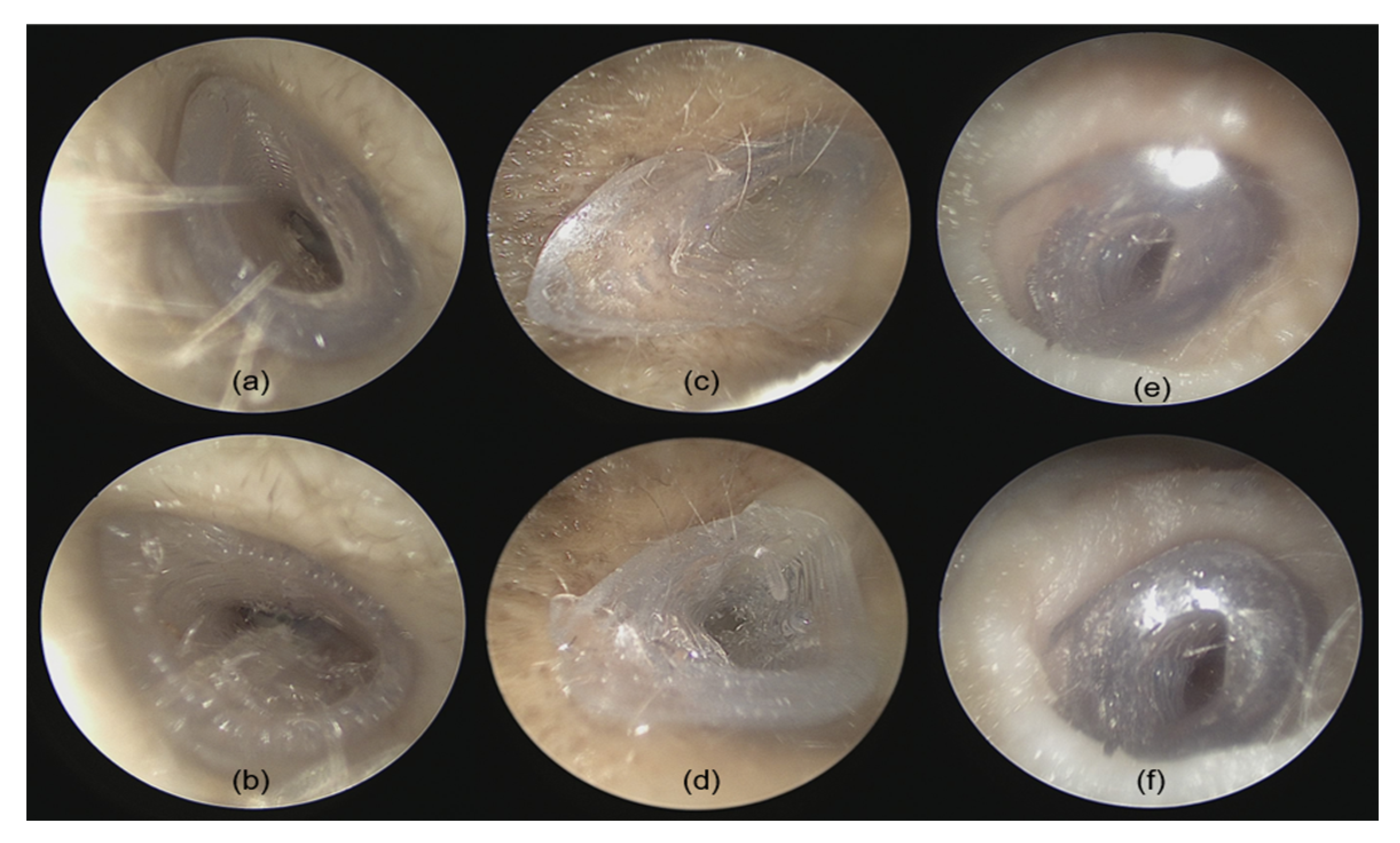 Jimaging 11 00264 g008