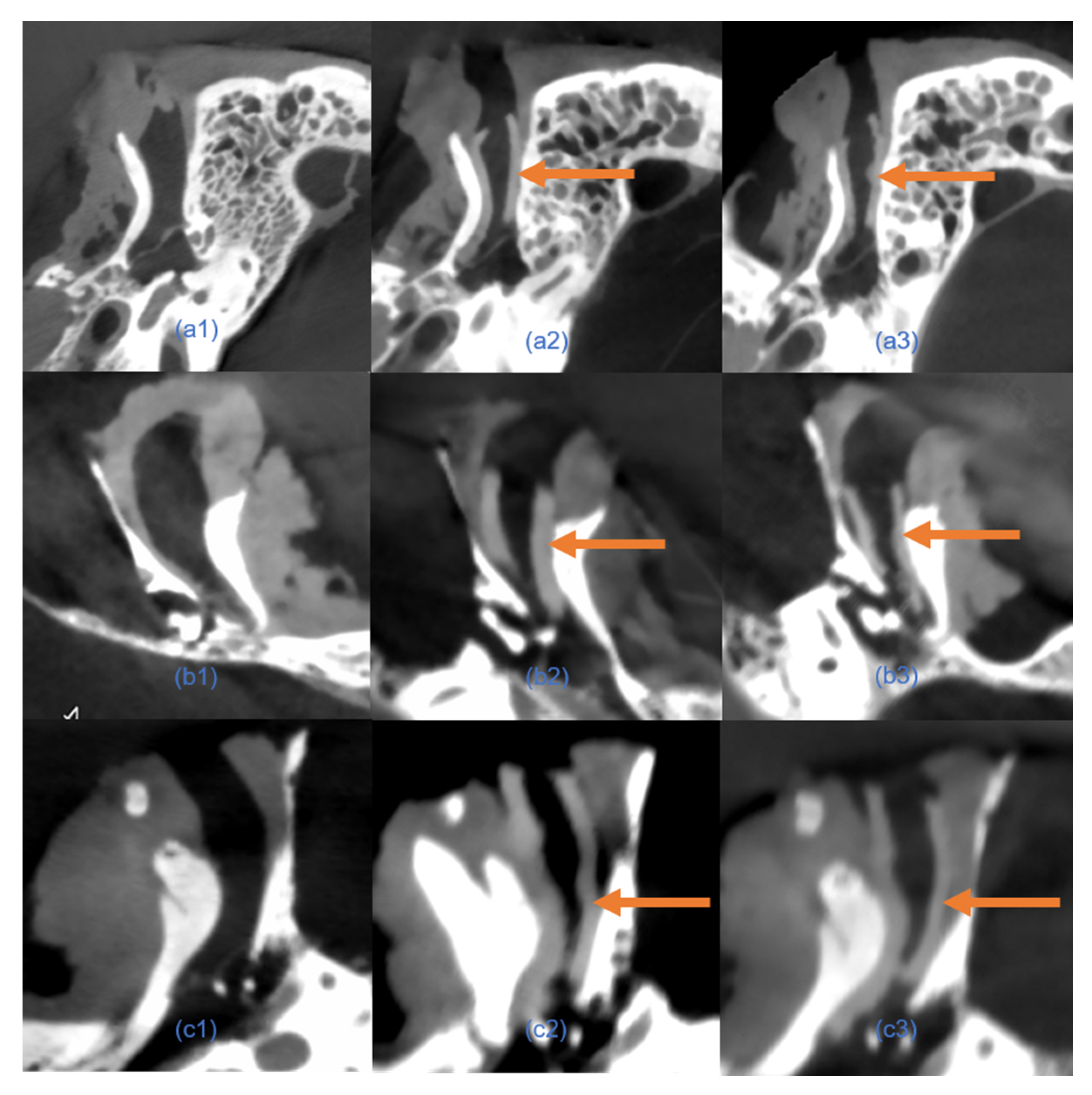 Jimaging 11 00264 g009