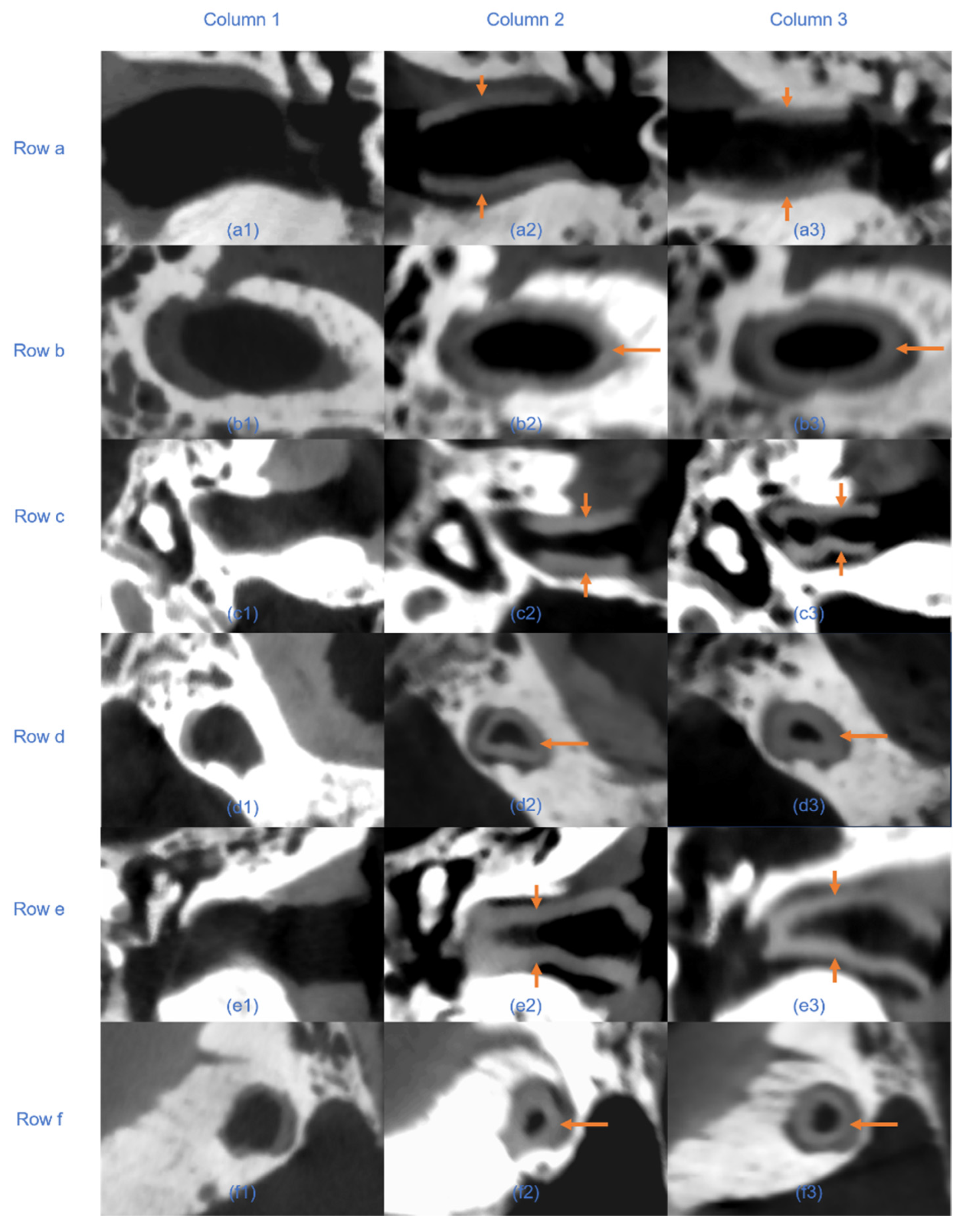 Jimaging 11 00264 g010