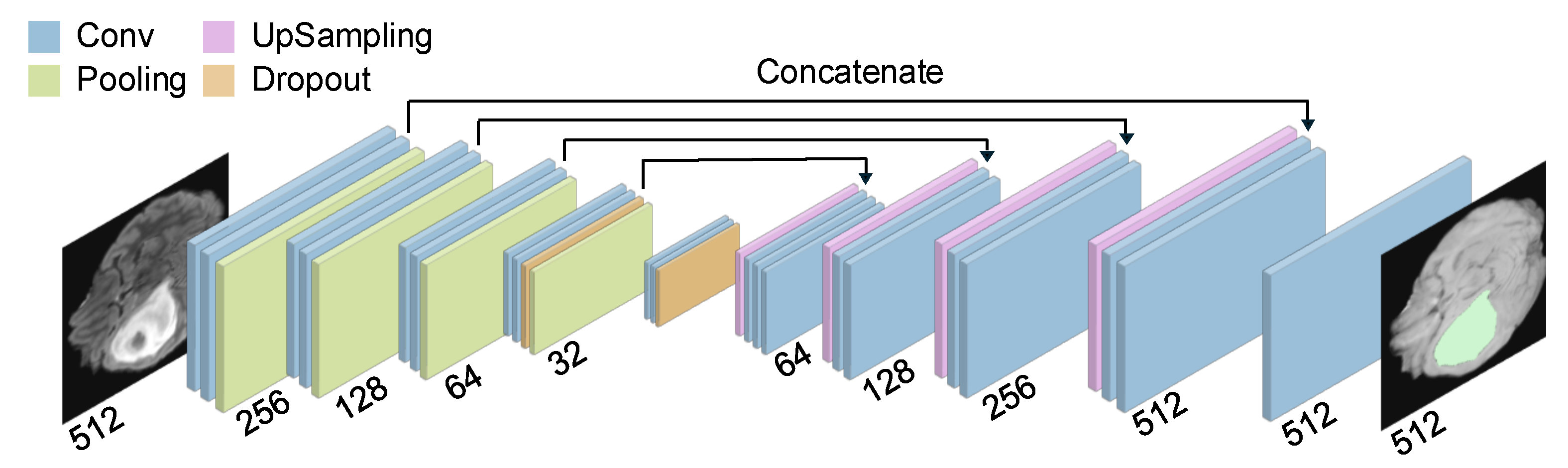 Jimaging 11 00269 g002 Jimaging 11 00269 g002