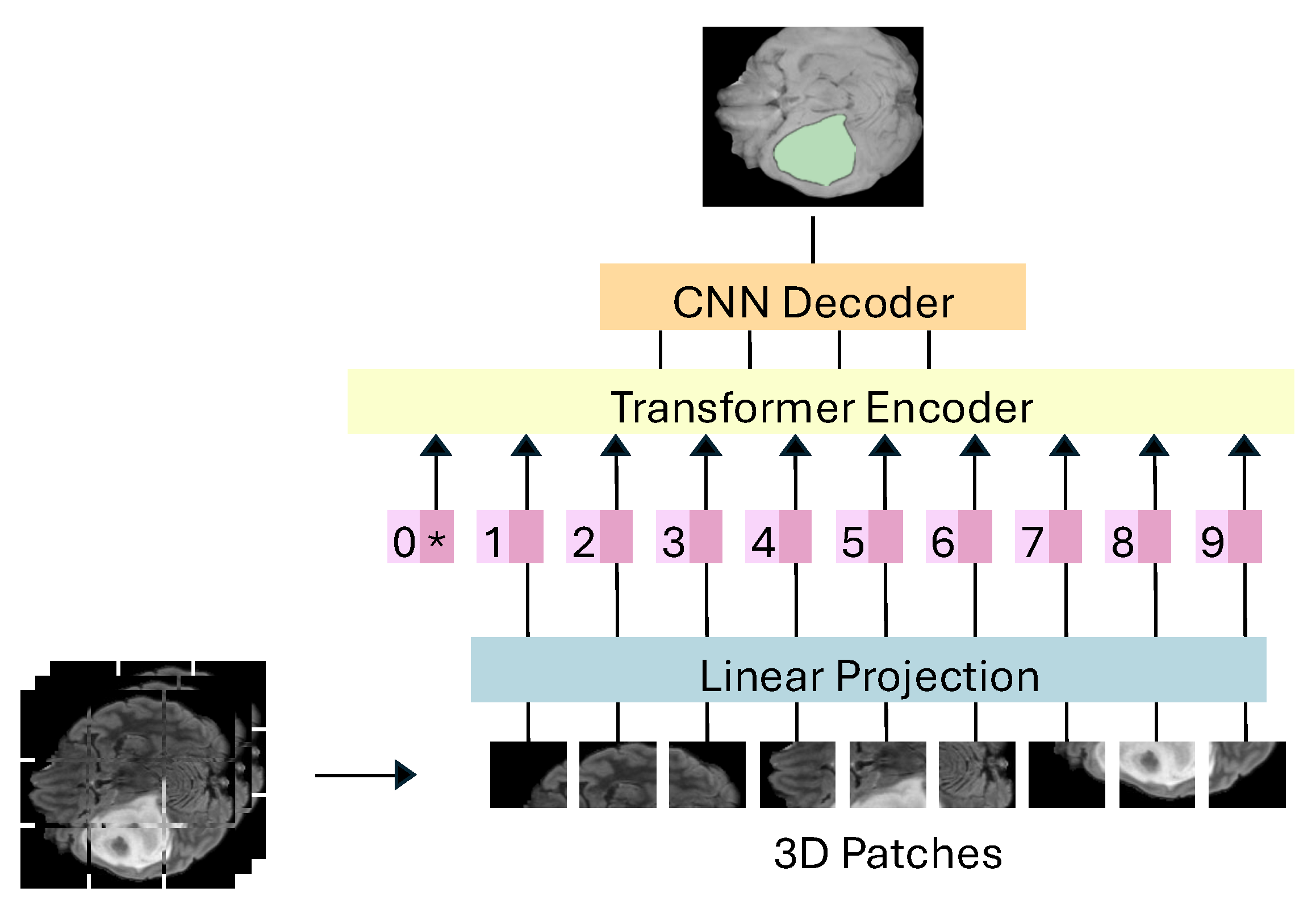 Jimaging 11 00269 g004 Jimaging 11 00269 g004