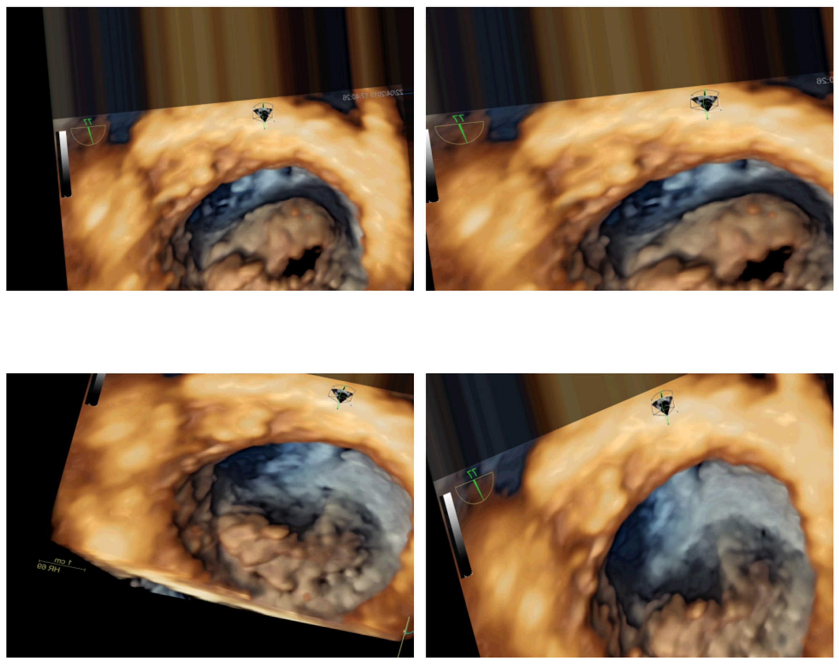 Jimaging 11 00272 g004