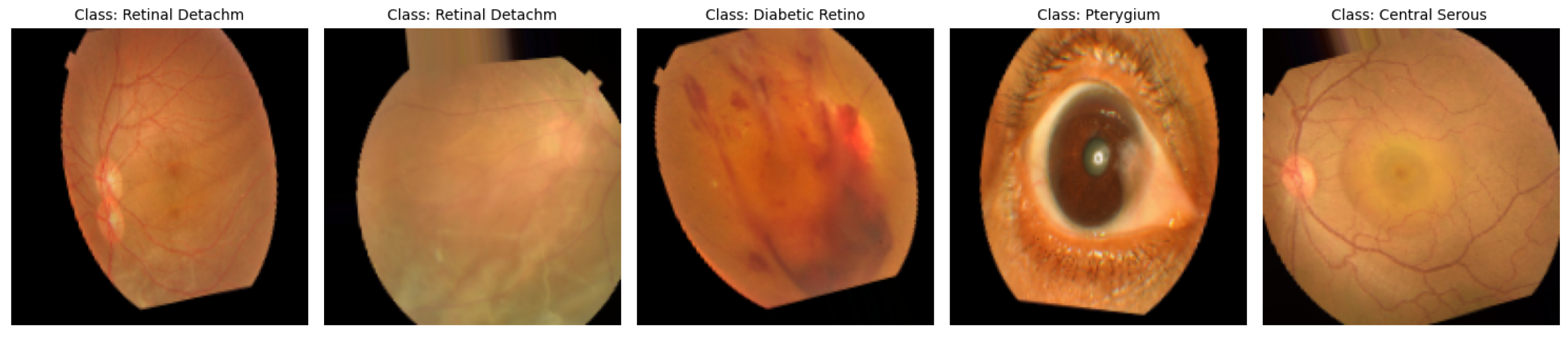 Jimaging 11 00275 g005