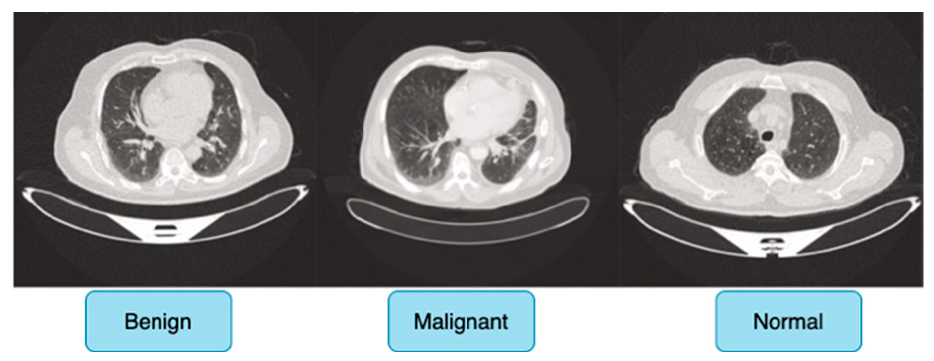 Jimaging 11 00283 g006