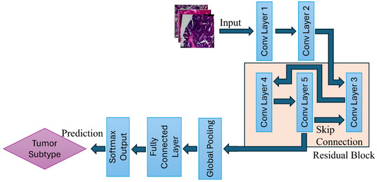 Multi-Class Classification of Breast Cancer Subtypes Using ResNet ...