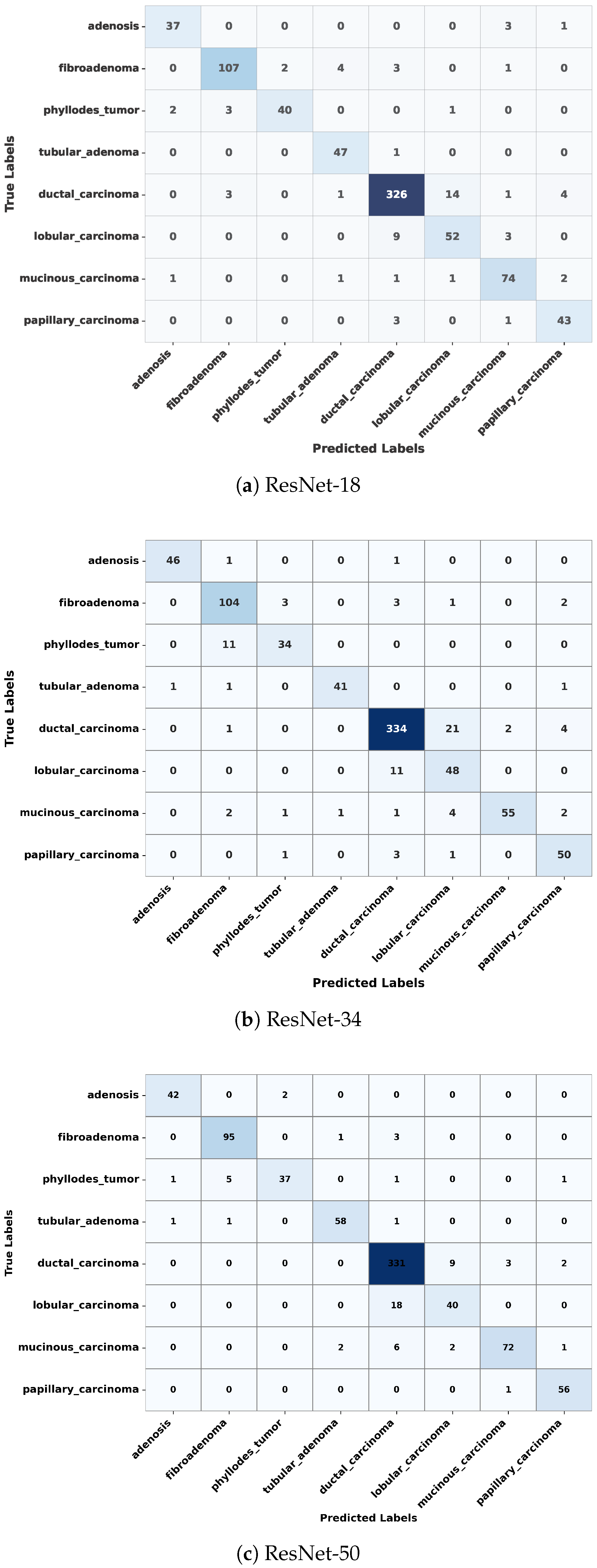 Jimaging 11 00284 g004