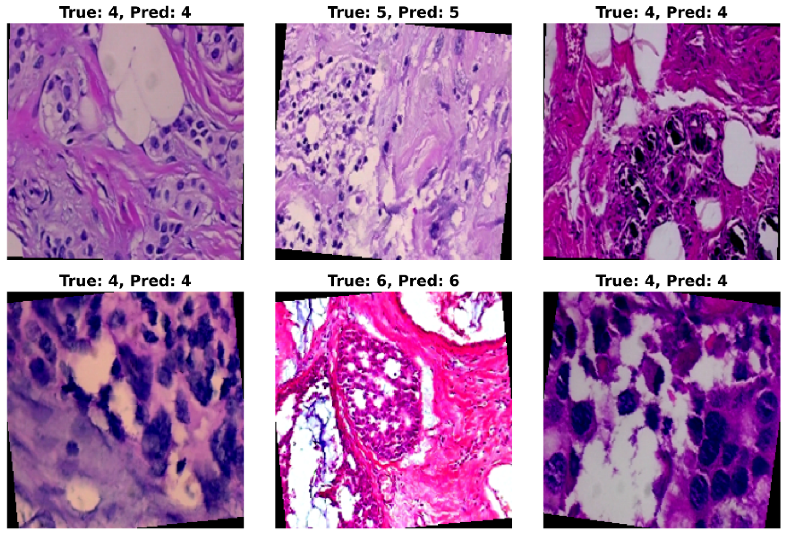 Jimaging 11 00284 g009