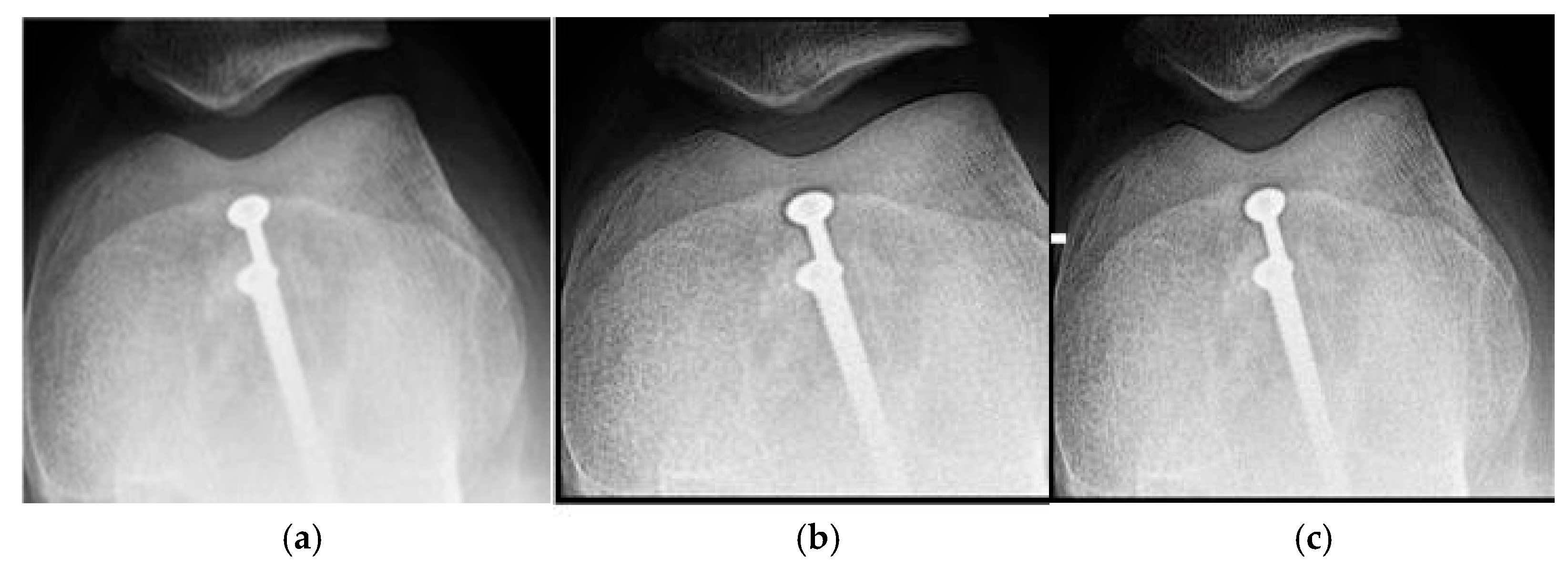 Jimaging 11 00291 g001