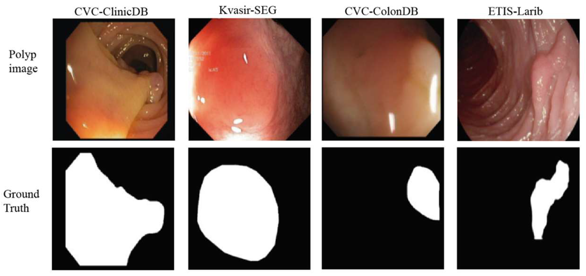 Jimaging 11 00293 g005 Jimaging 11 00293 g005