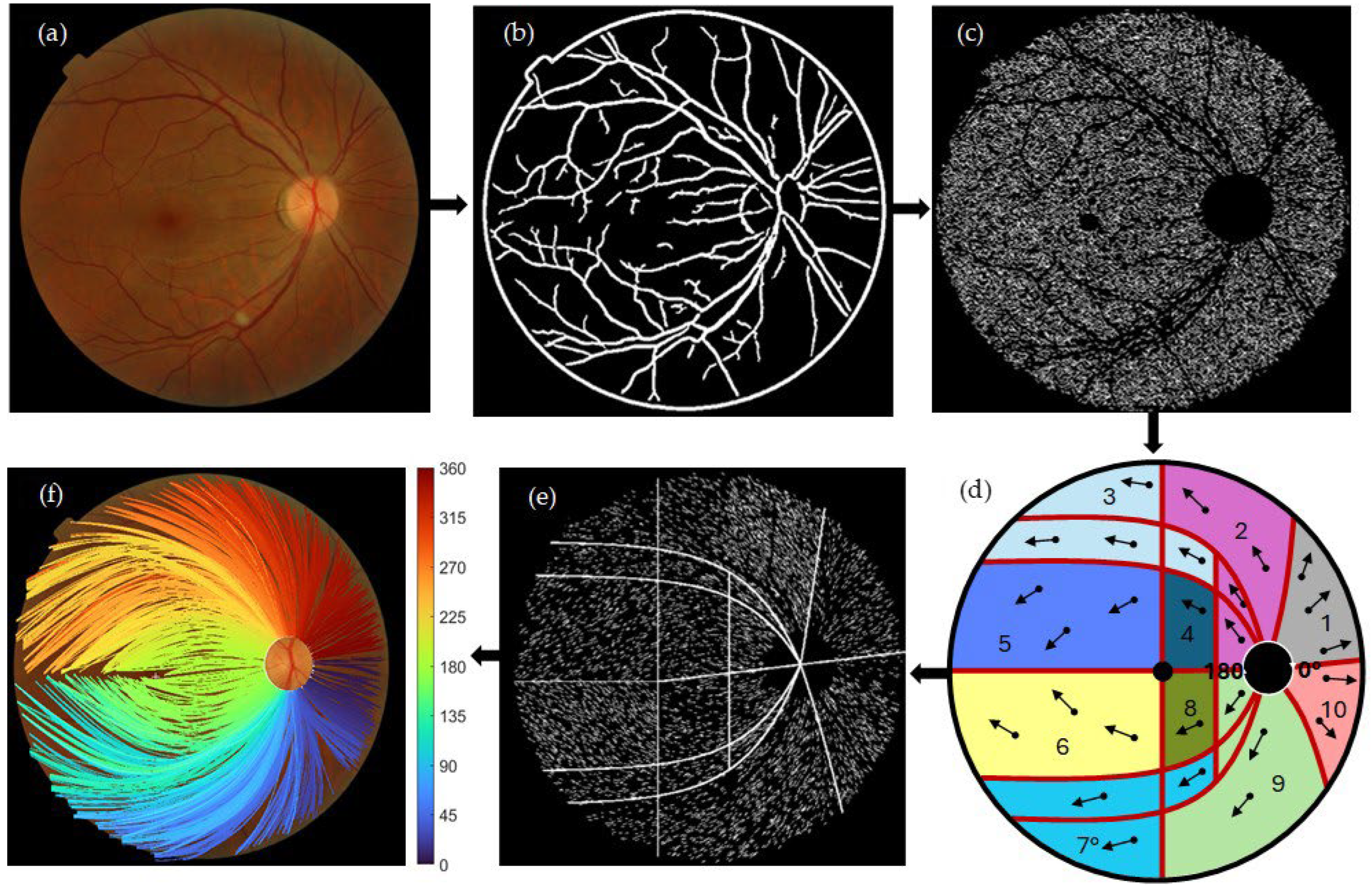 Jimaging 11 00294 g001