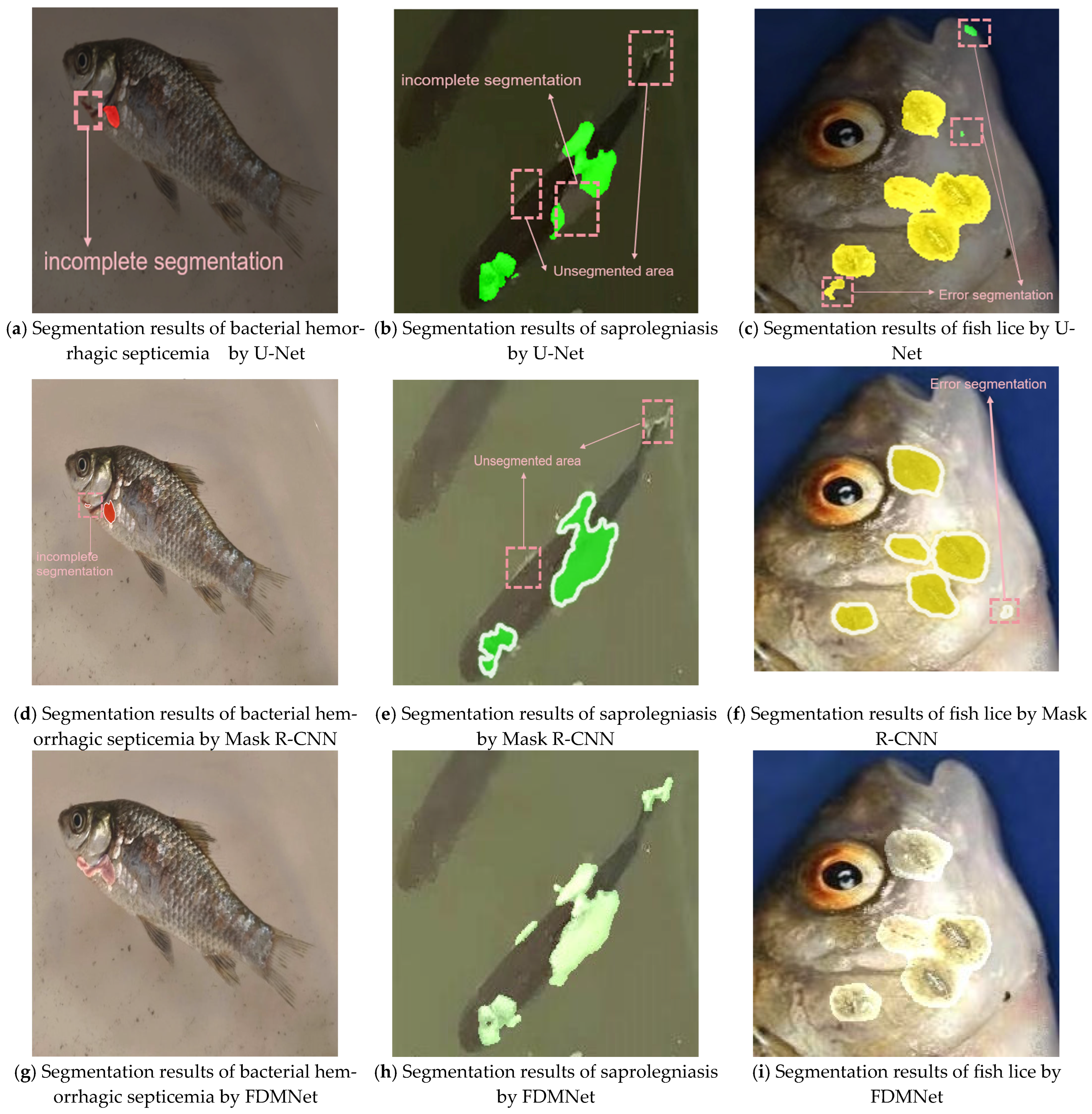 Jimaging 11 00305 g006