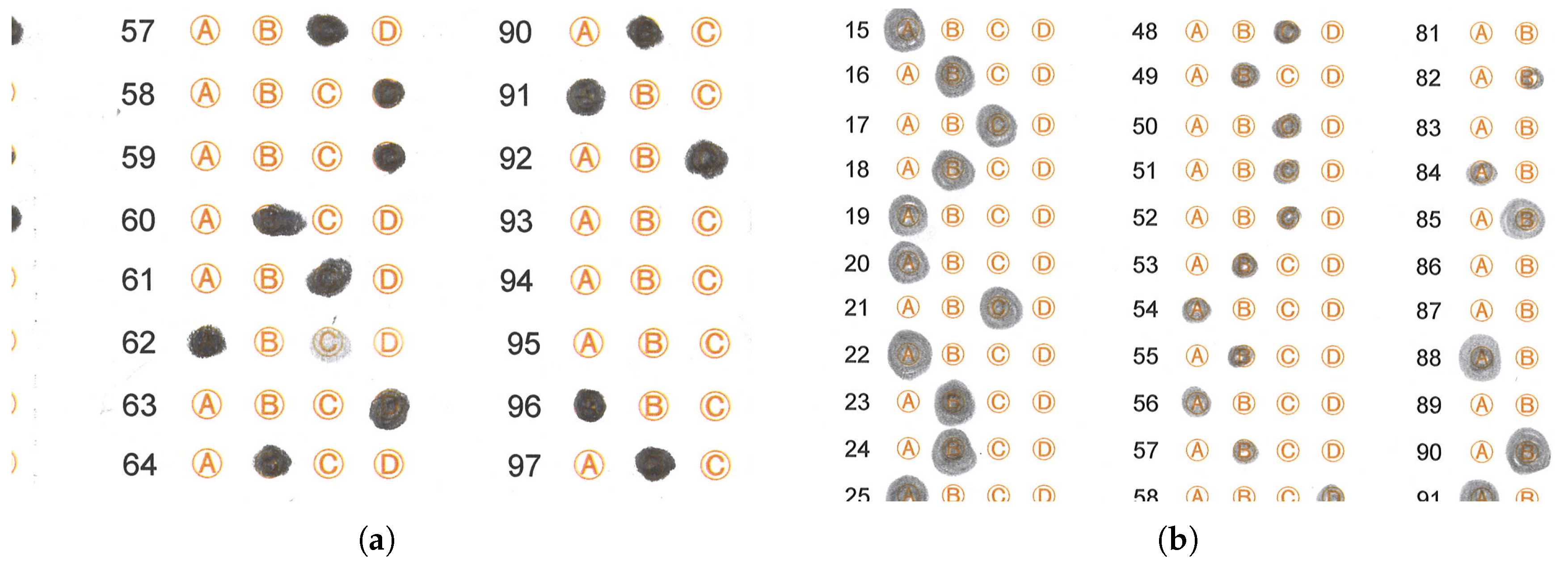 Jimaging 11 00308 g017