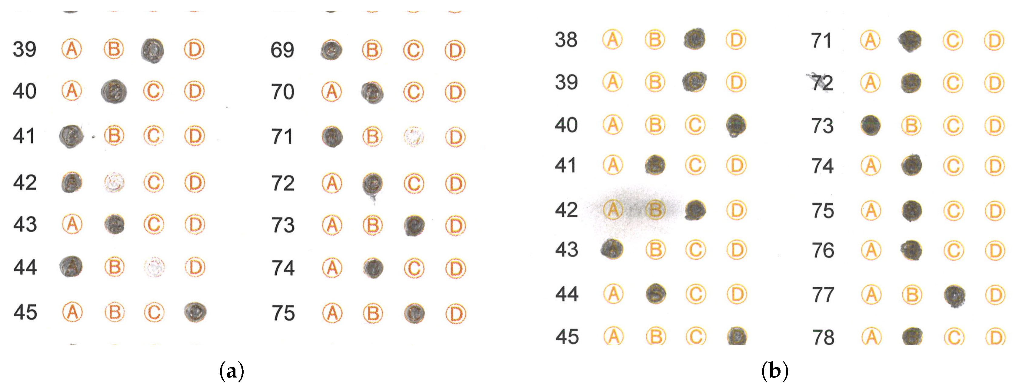 Jimaging 11 00308 g020