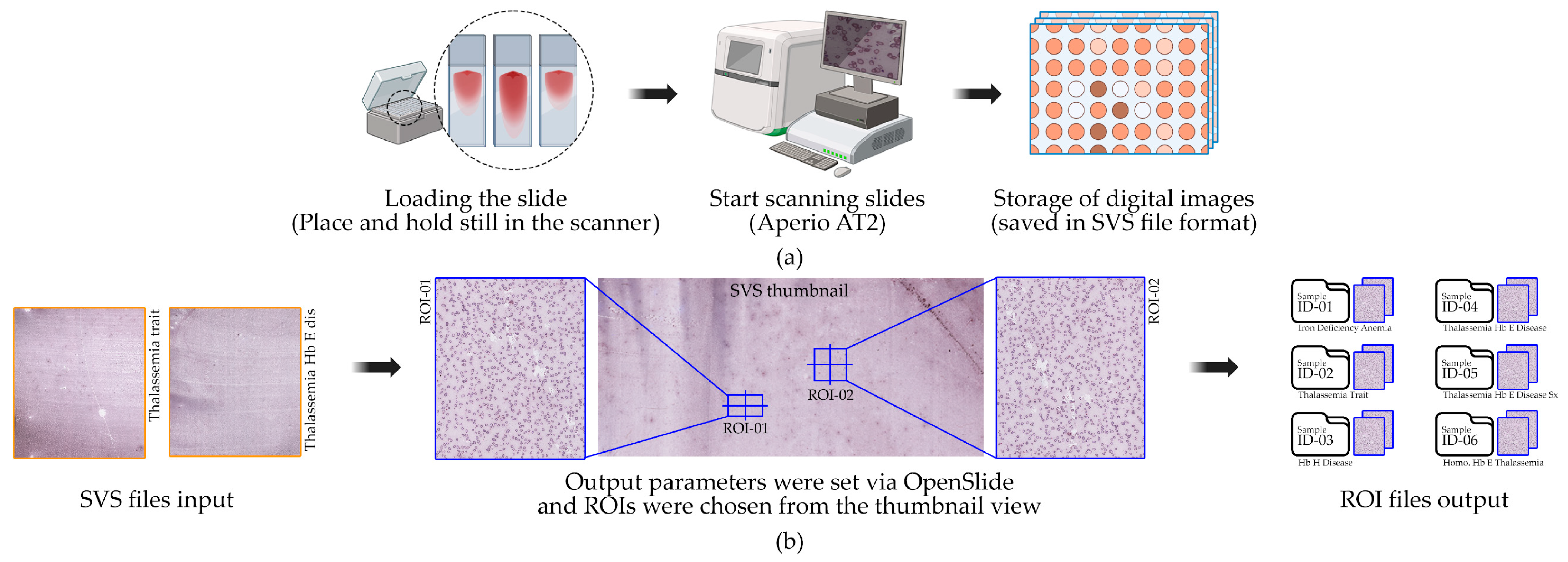 Jimaging 11 00309 g002 Jimaging 11 00309 g002