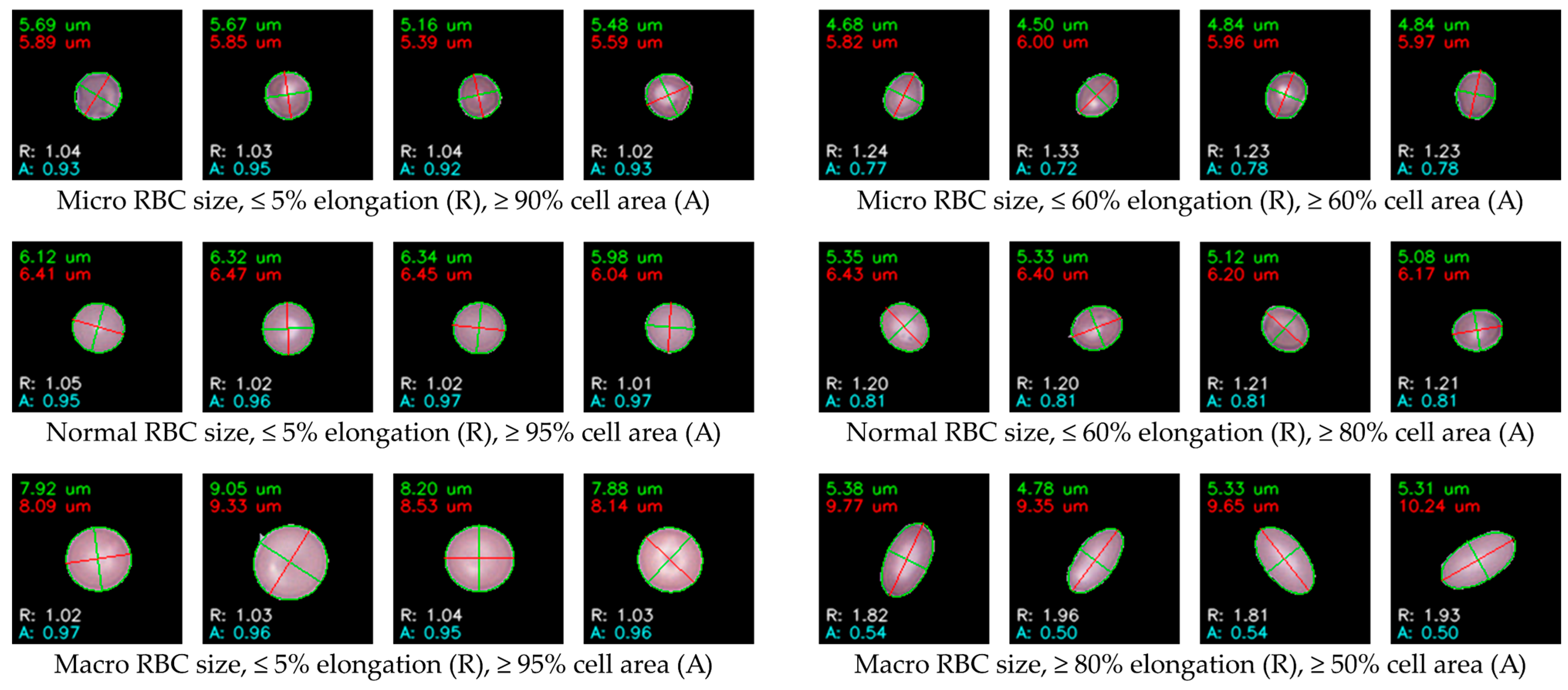 Jimaging 11 00309 g009 Jimaging 11 00309 g009