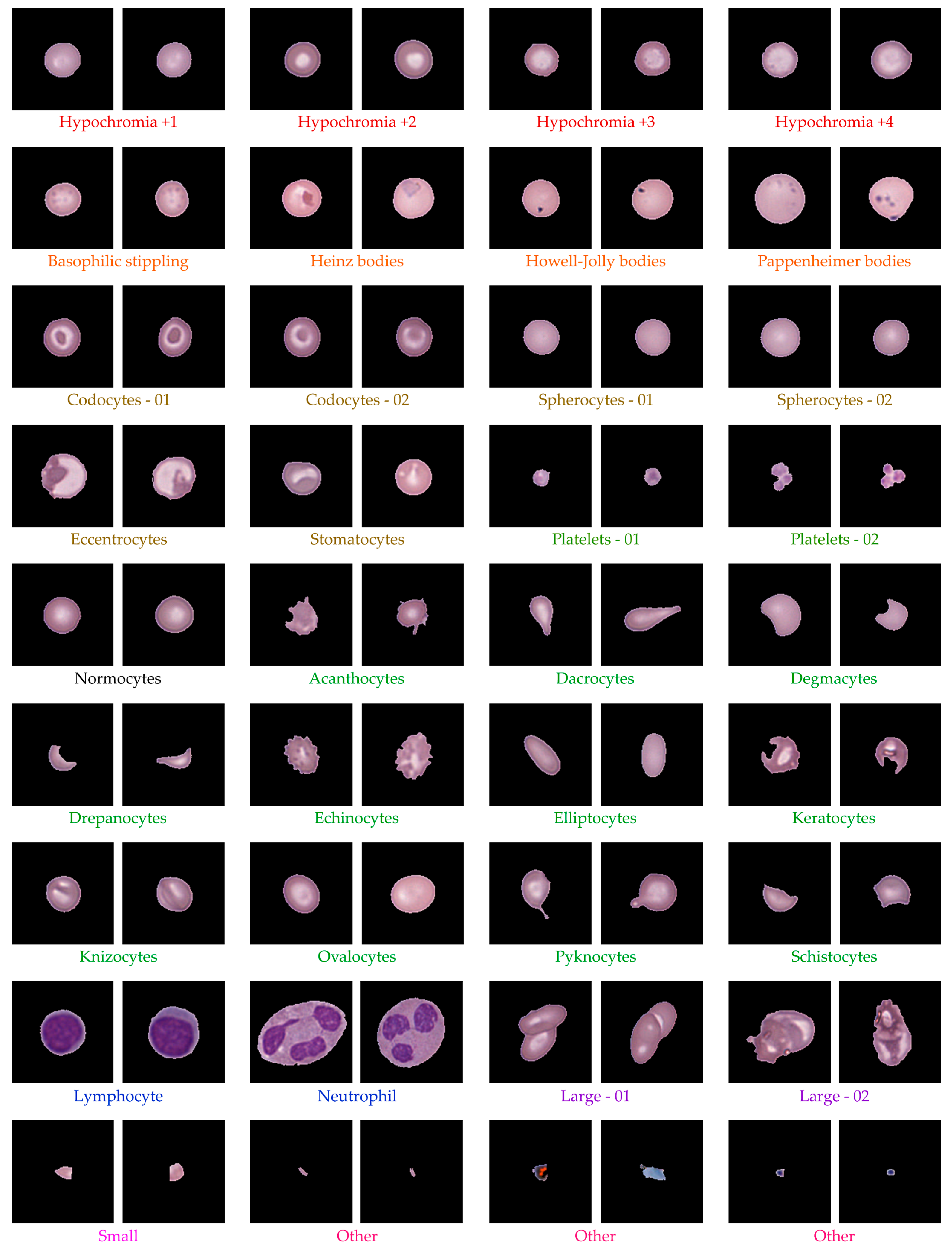 Jimaging 11 00309 g010 Jimaging 11 00309 g010