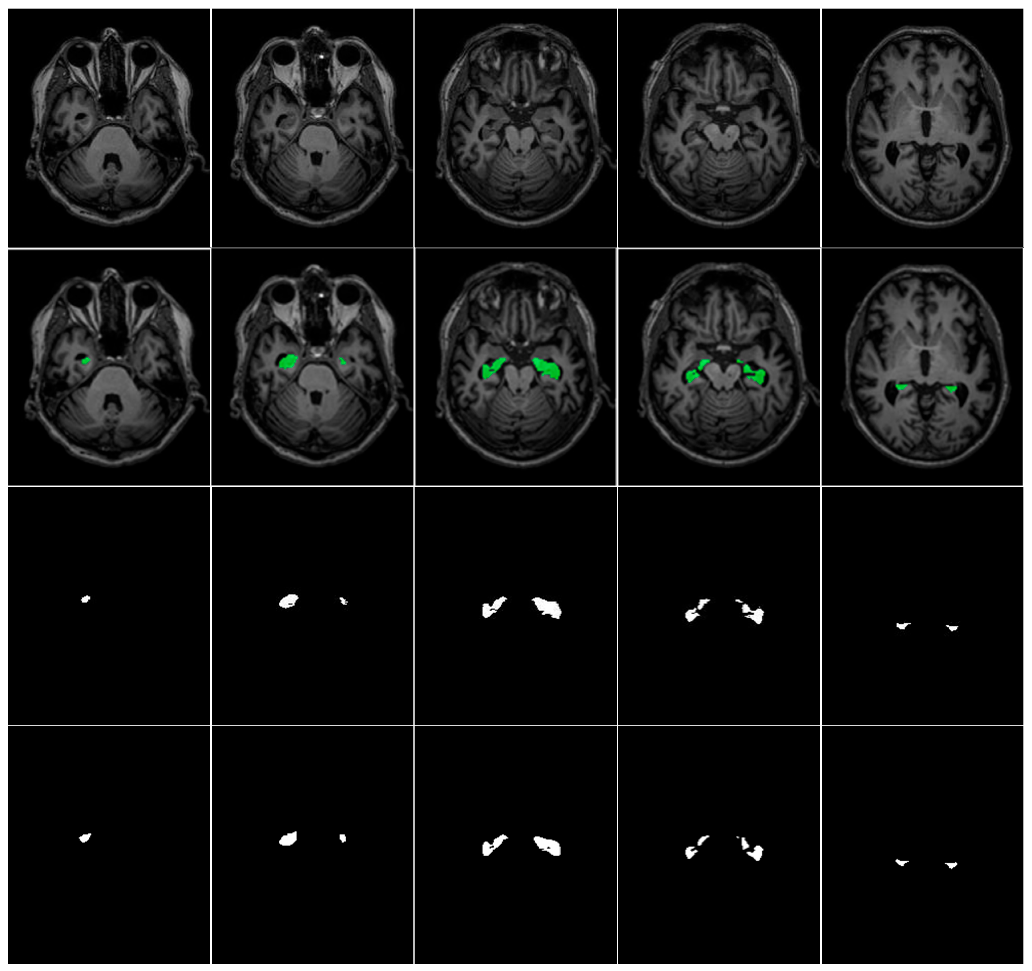 Jimaging 11 00311 g010