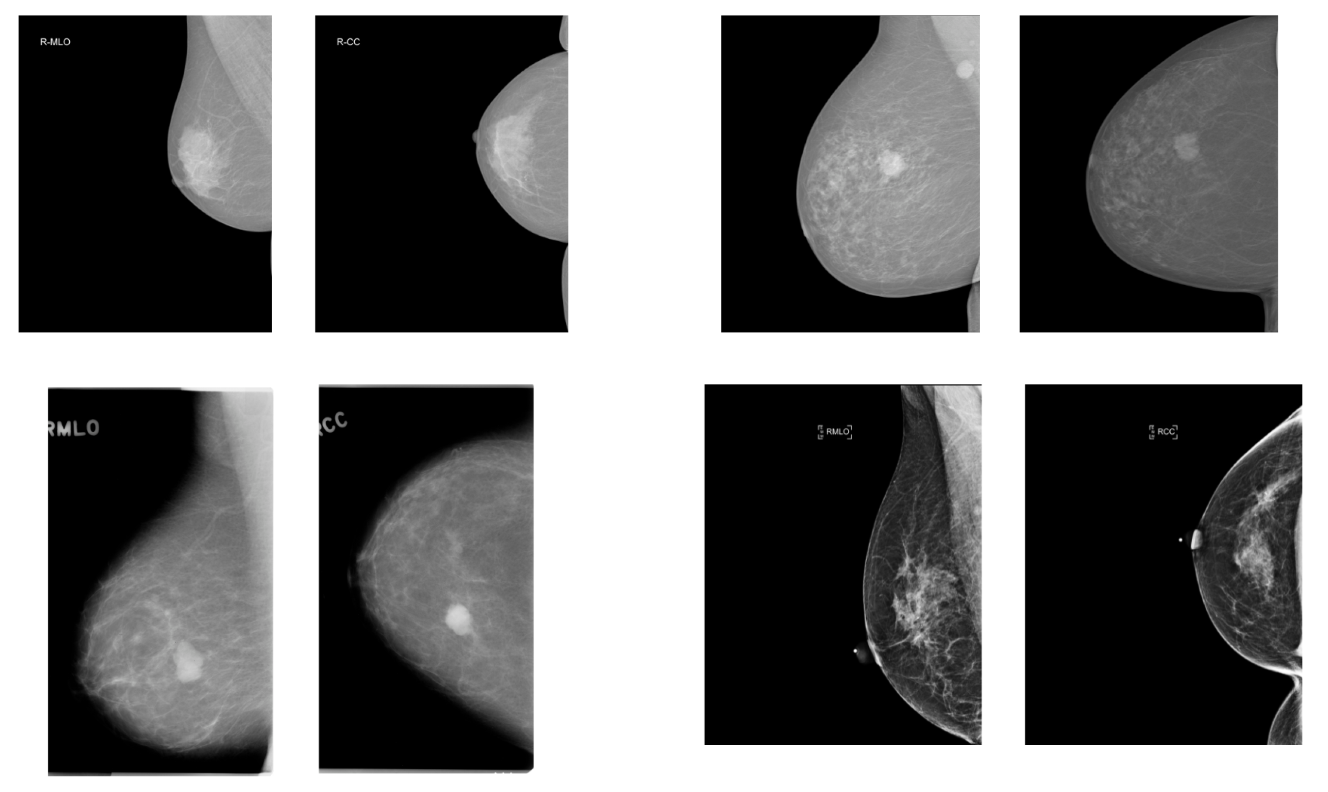 Jimaging 11 00314 g001 Jimaging 11 00314 g001