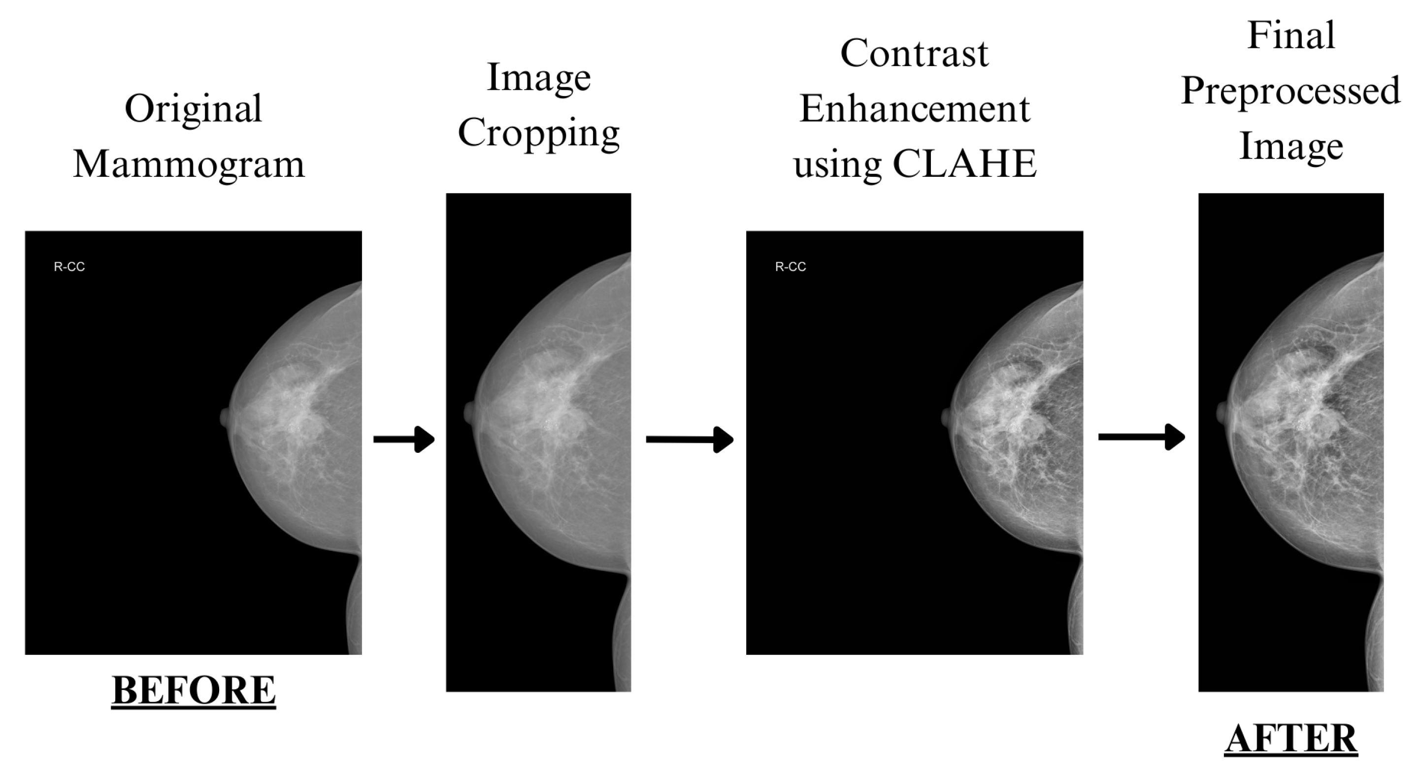 Jimaging 11 00314 g002 Jimaging 11 00314 g002