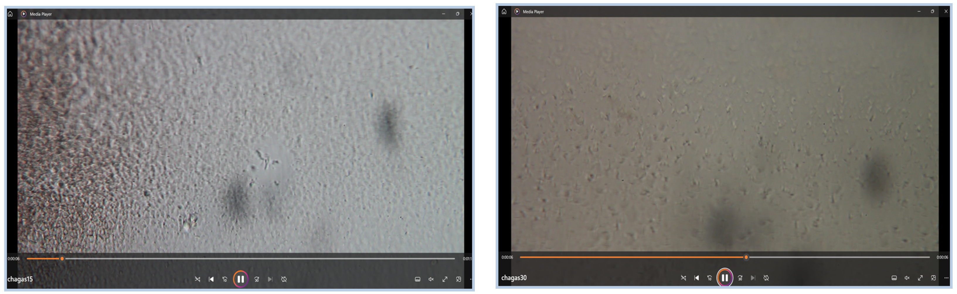 Jimaging 11 00315 g006