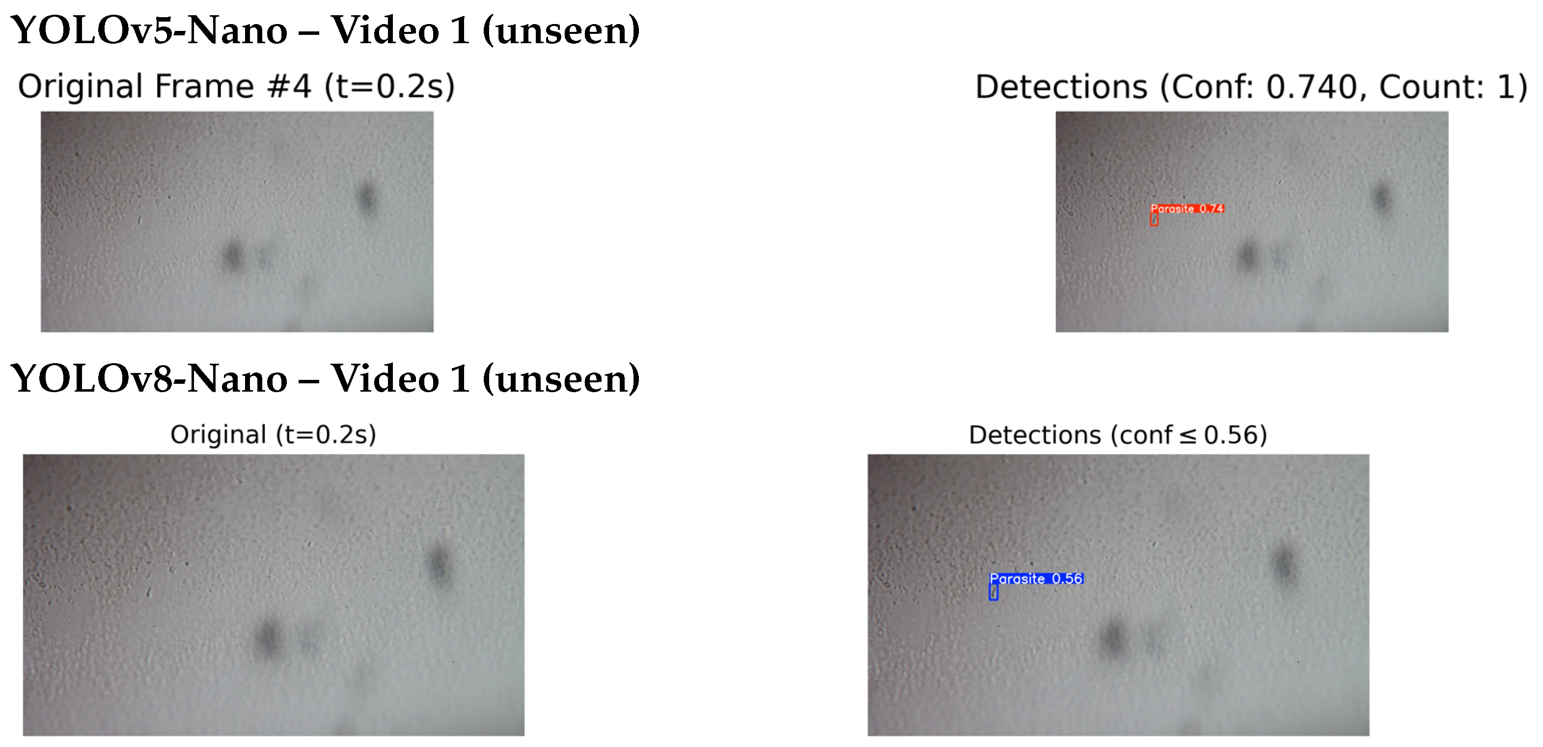 Jimaging 11 00315 g013