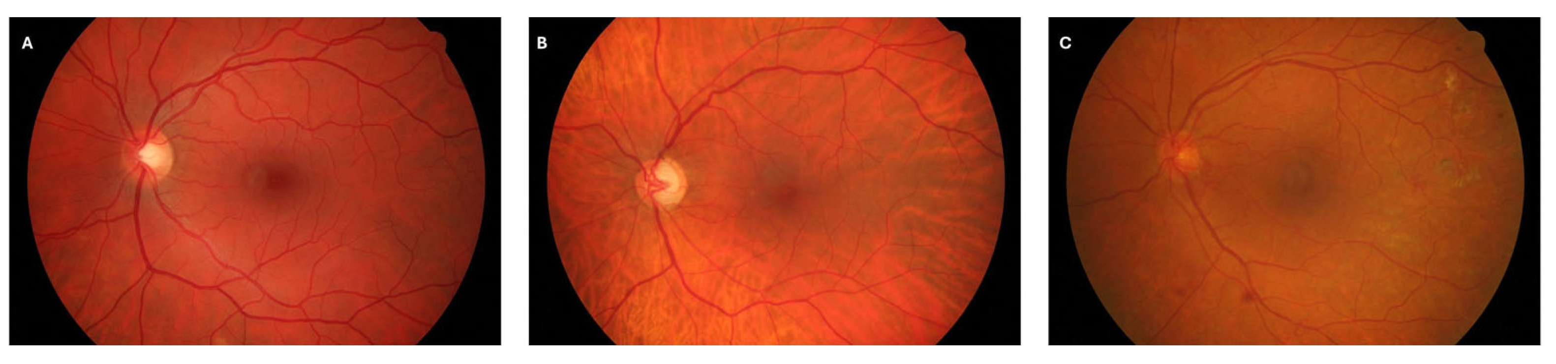 Jimaging 11 00321 g001