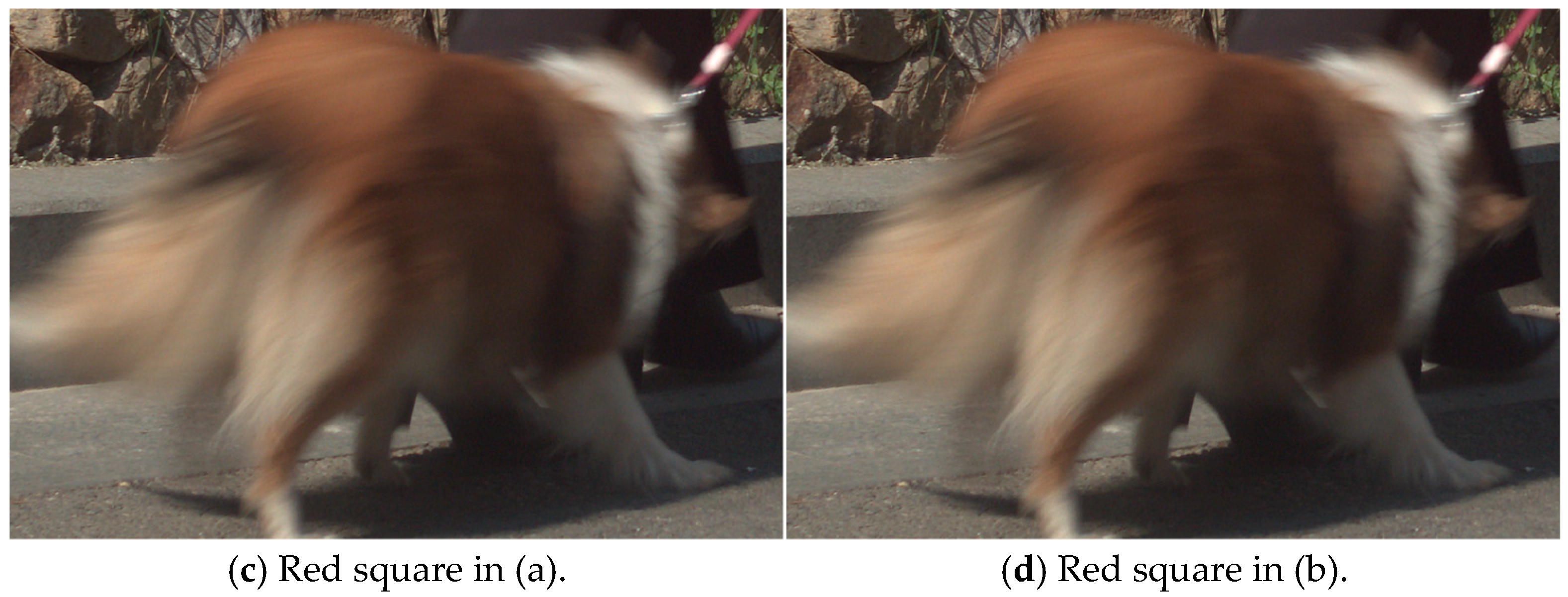 Jimaging 11 00327 g017b