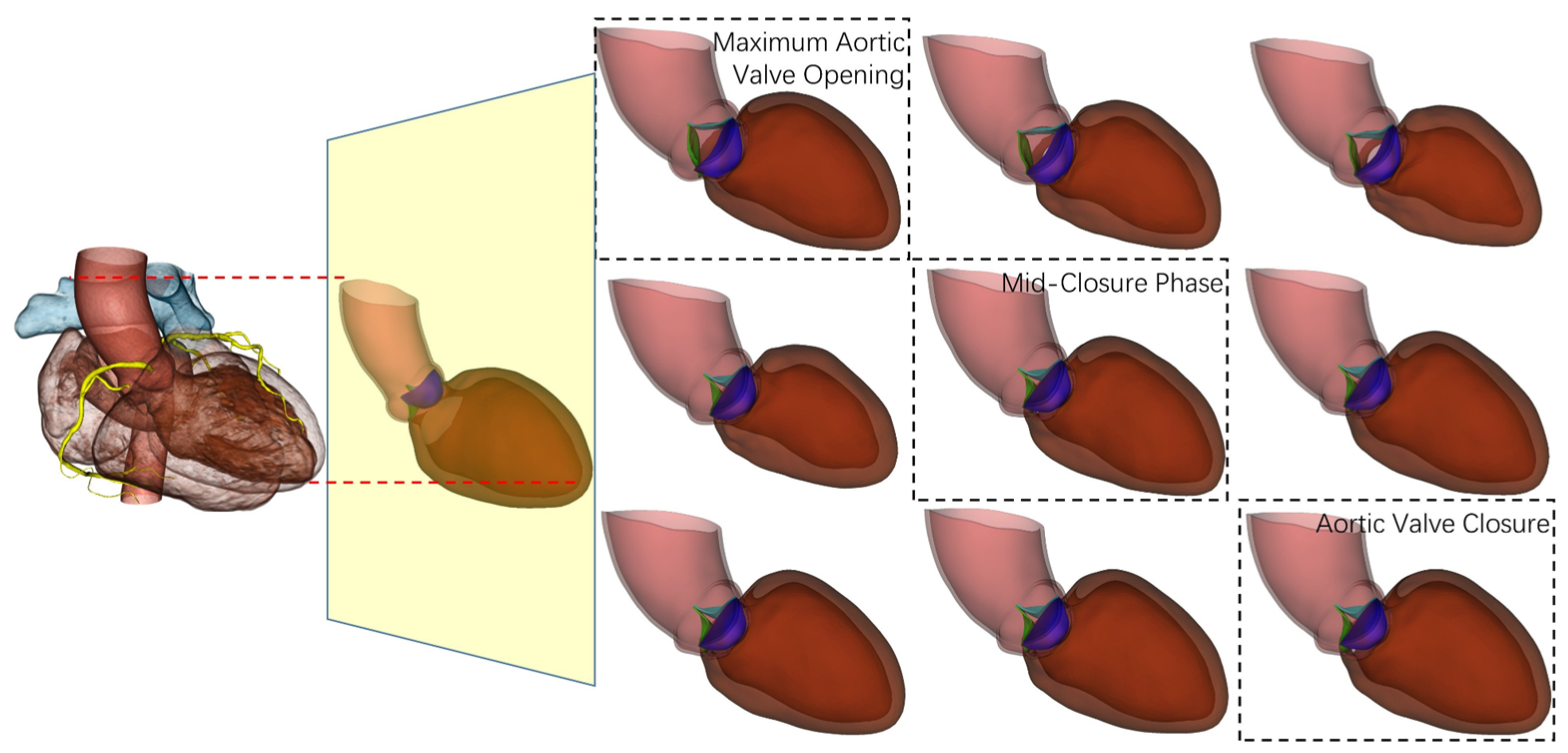 Jimaging 11 00330 g005