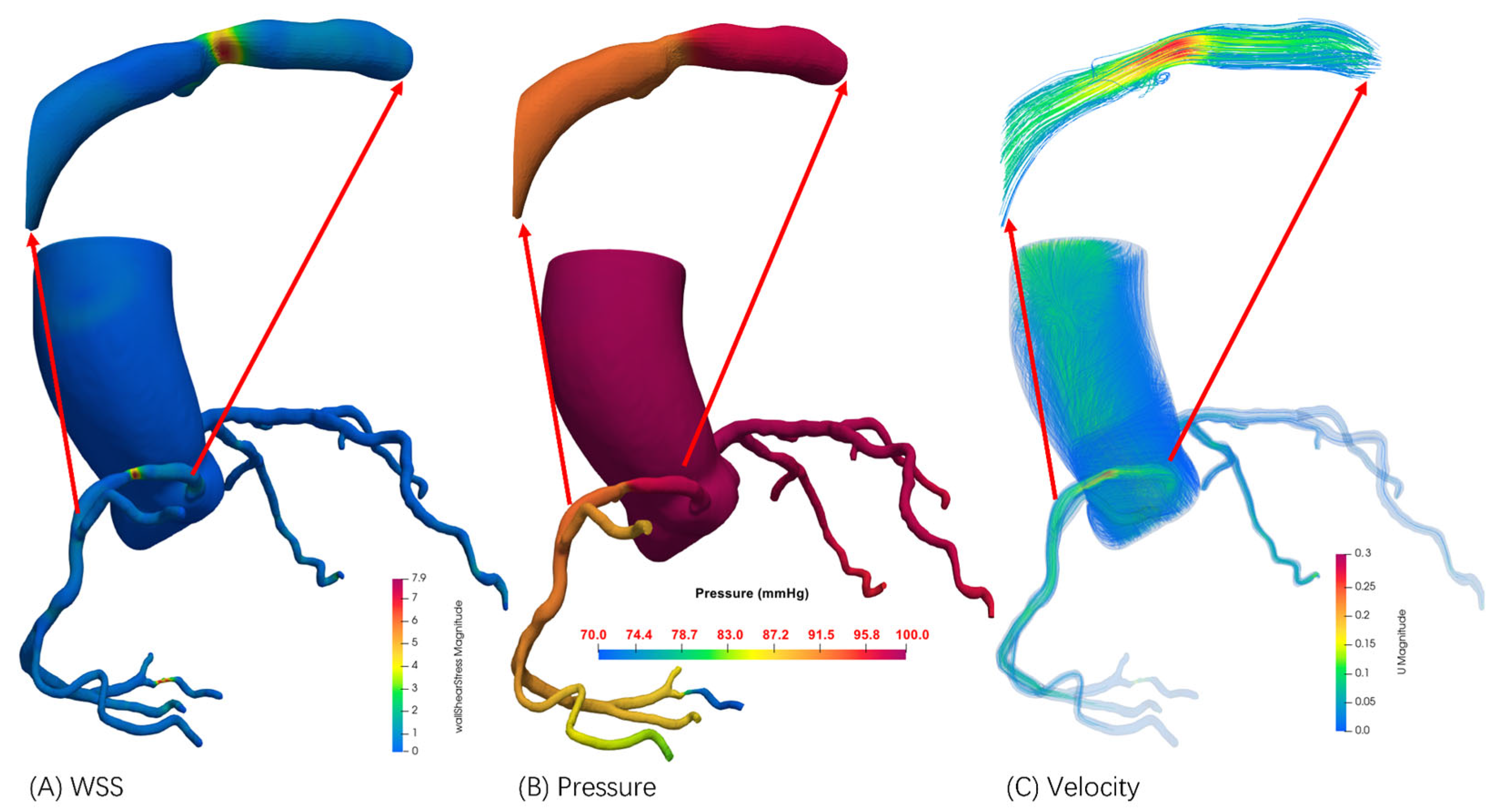 Jimaging 11 00330 g009