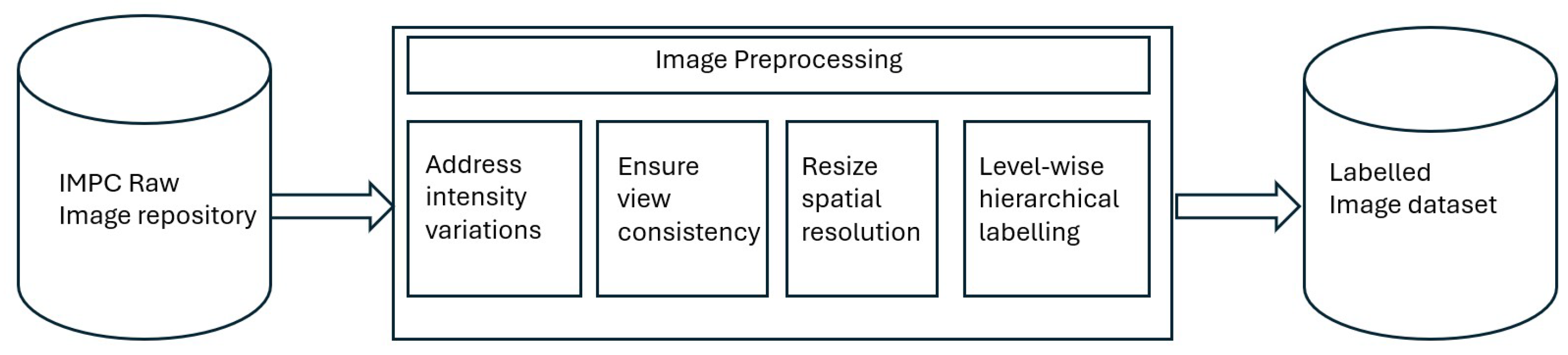 Jimaging 11 00348 g003