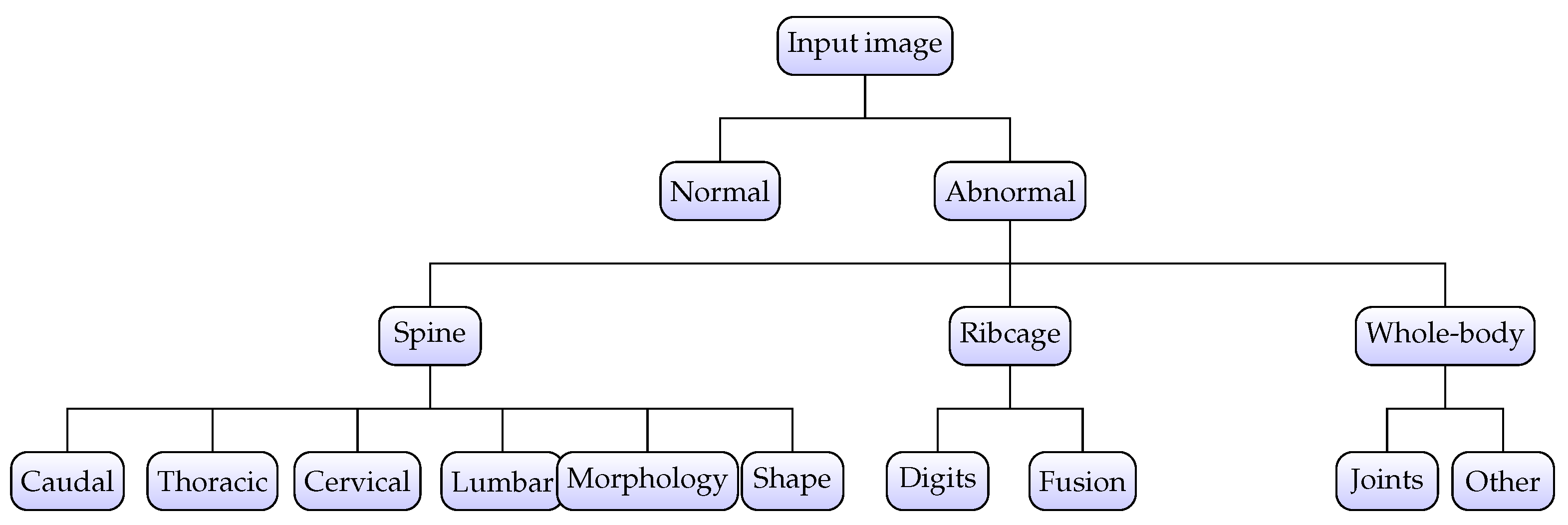 Jimaging 11 00348 g004
