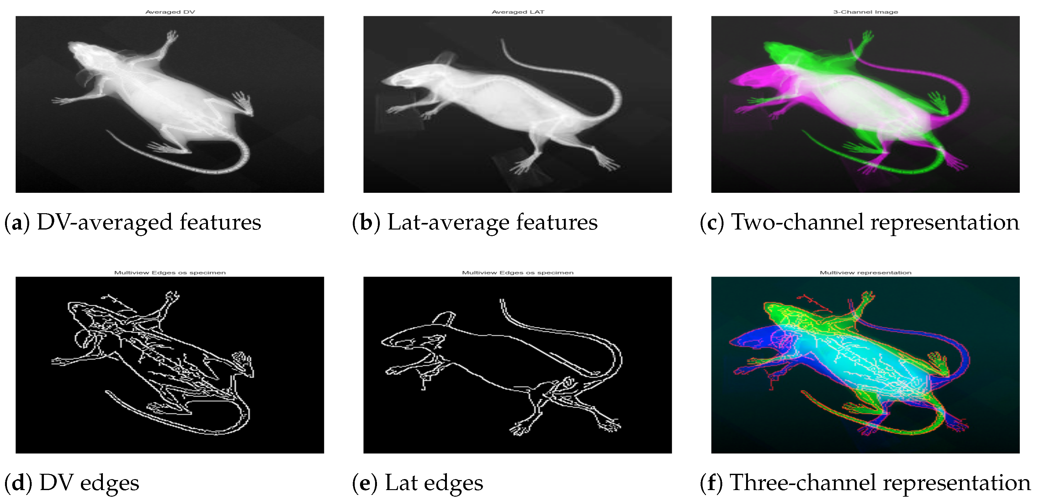 Jimaging 11 00348 g005