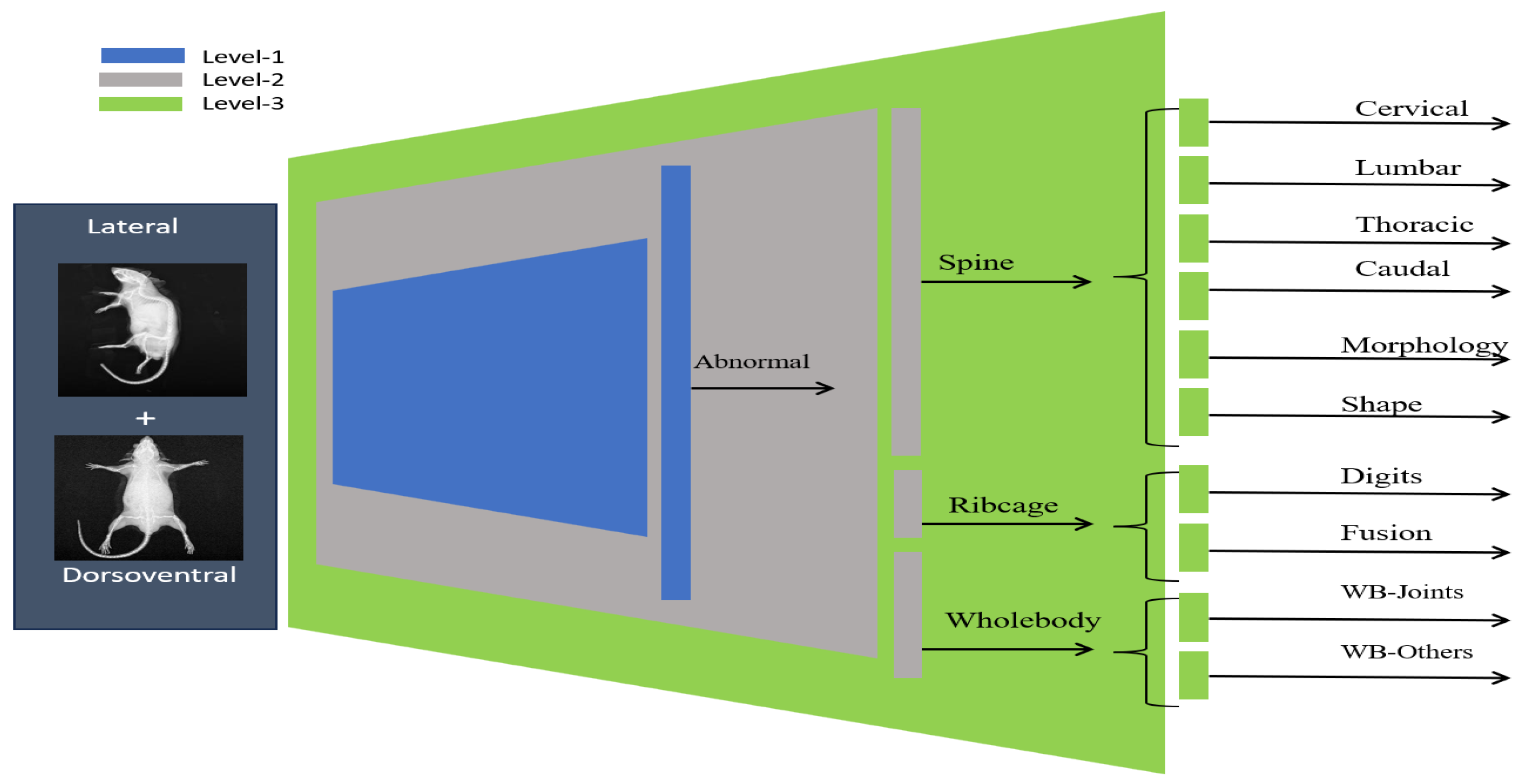 Jimaging 11 00348 g006