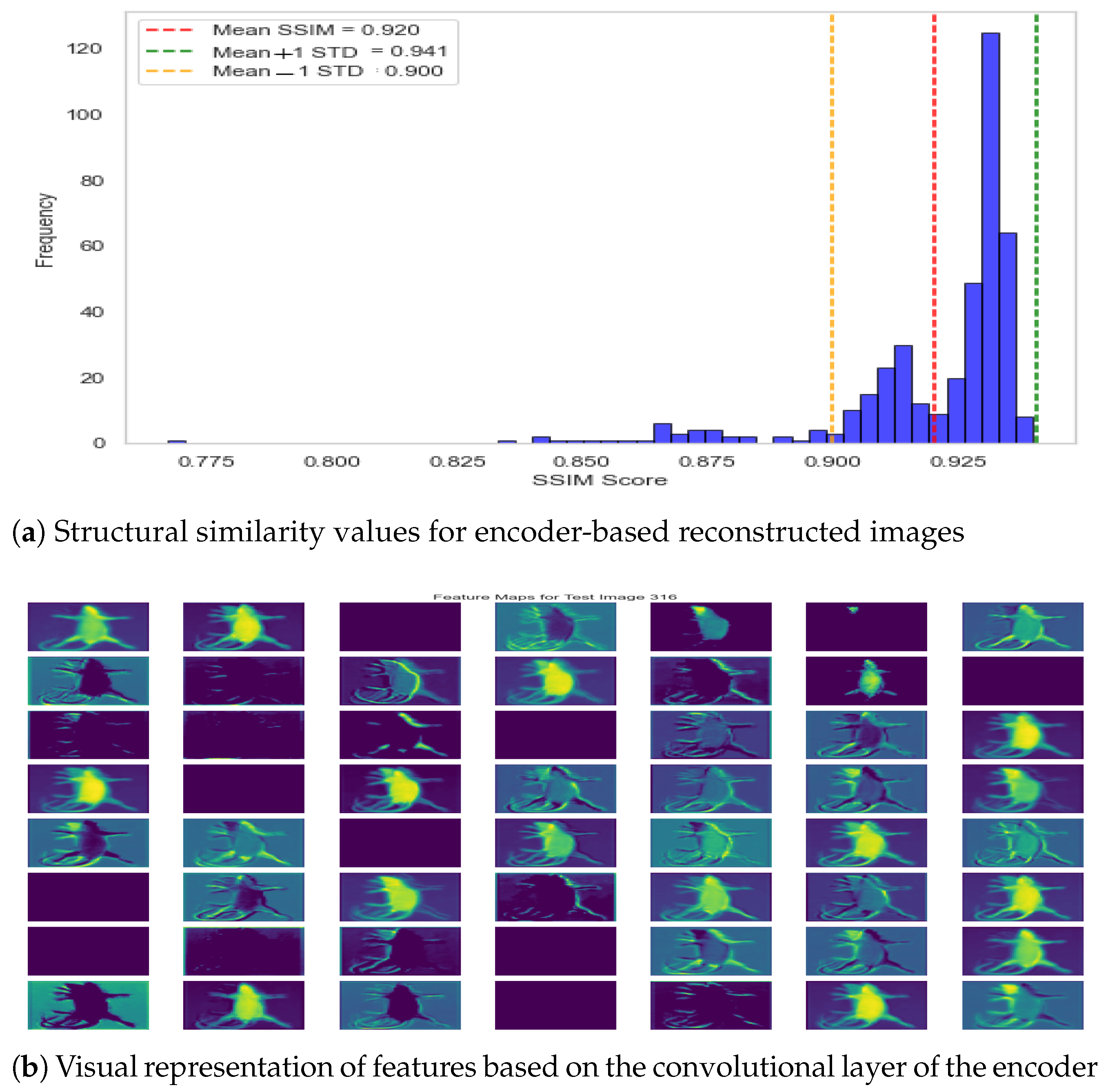 Jimaging 11 00348 g011