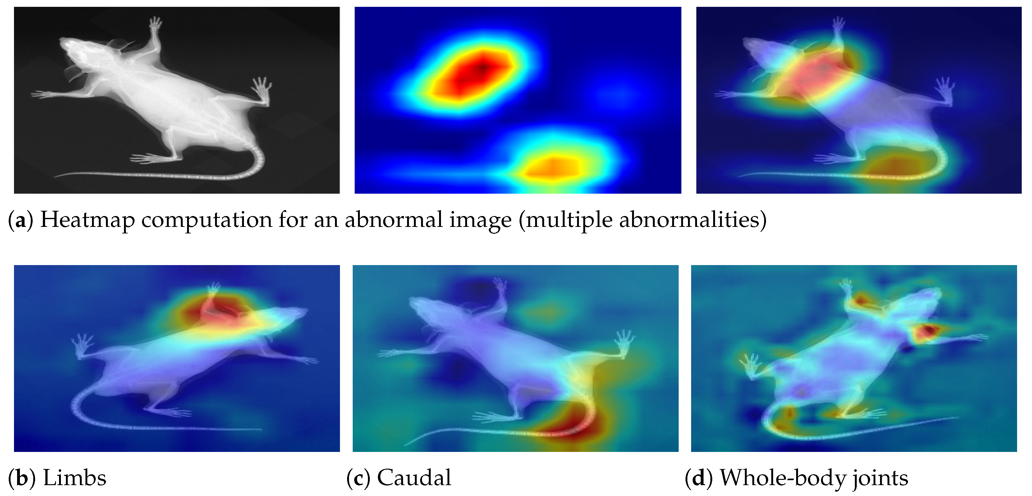 Jimaging 11 00348 g014