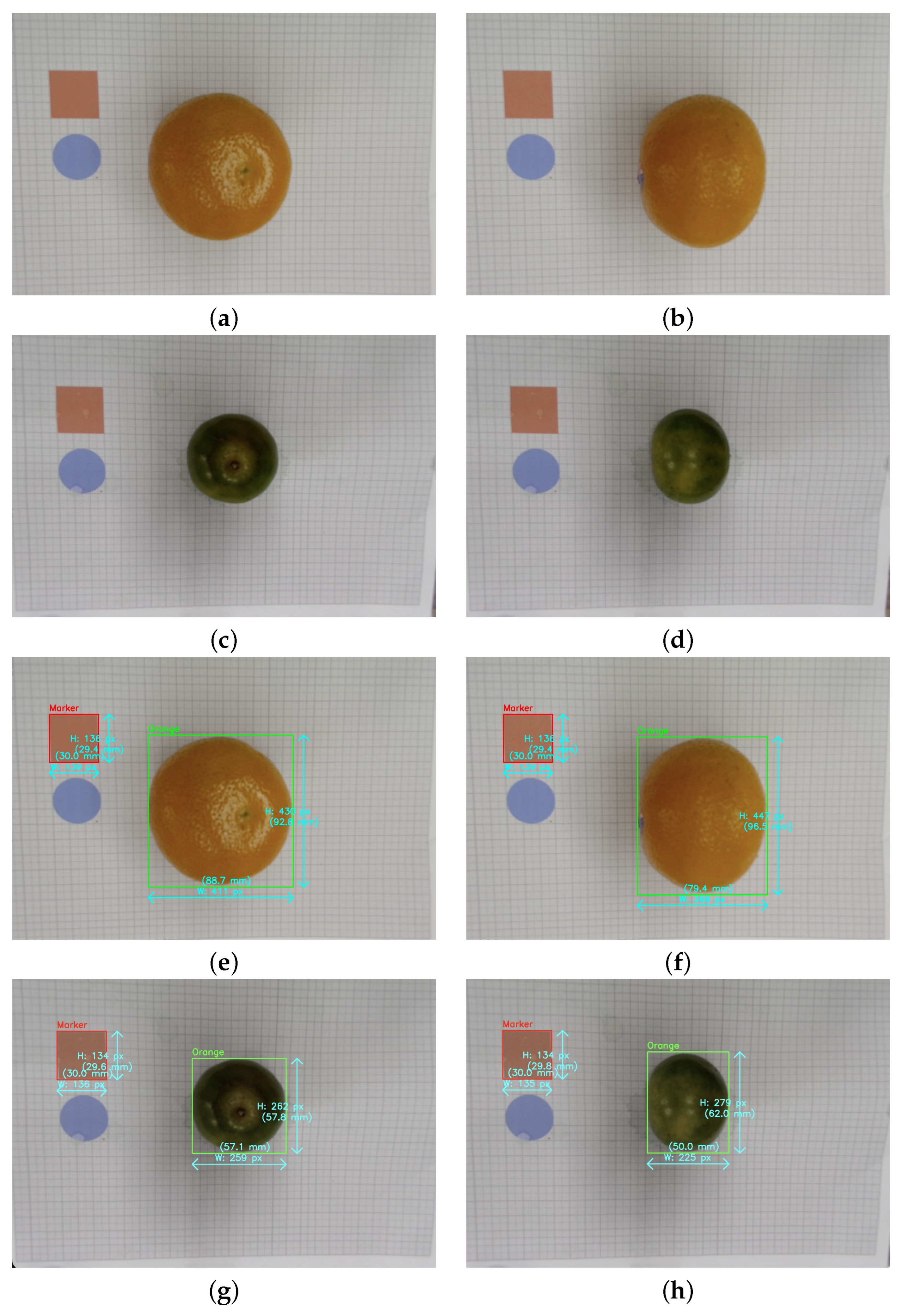 Jimaging 11 00352 g002