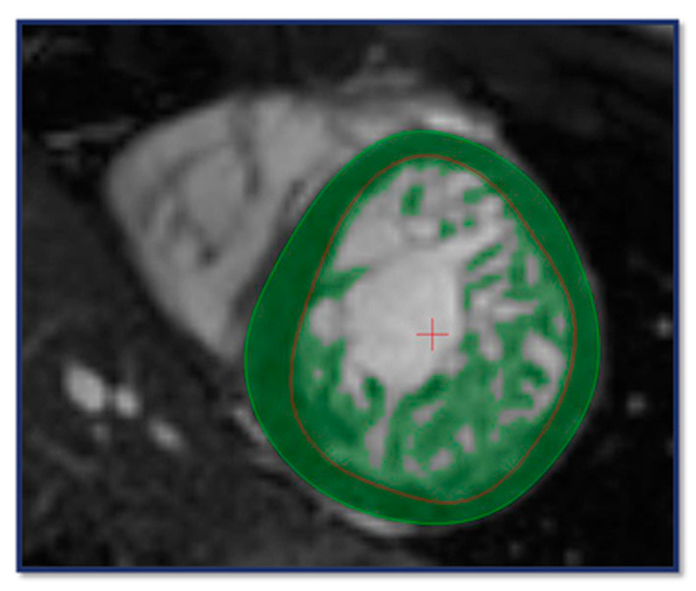 Jimaging 11 00357 g001