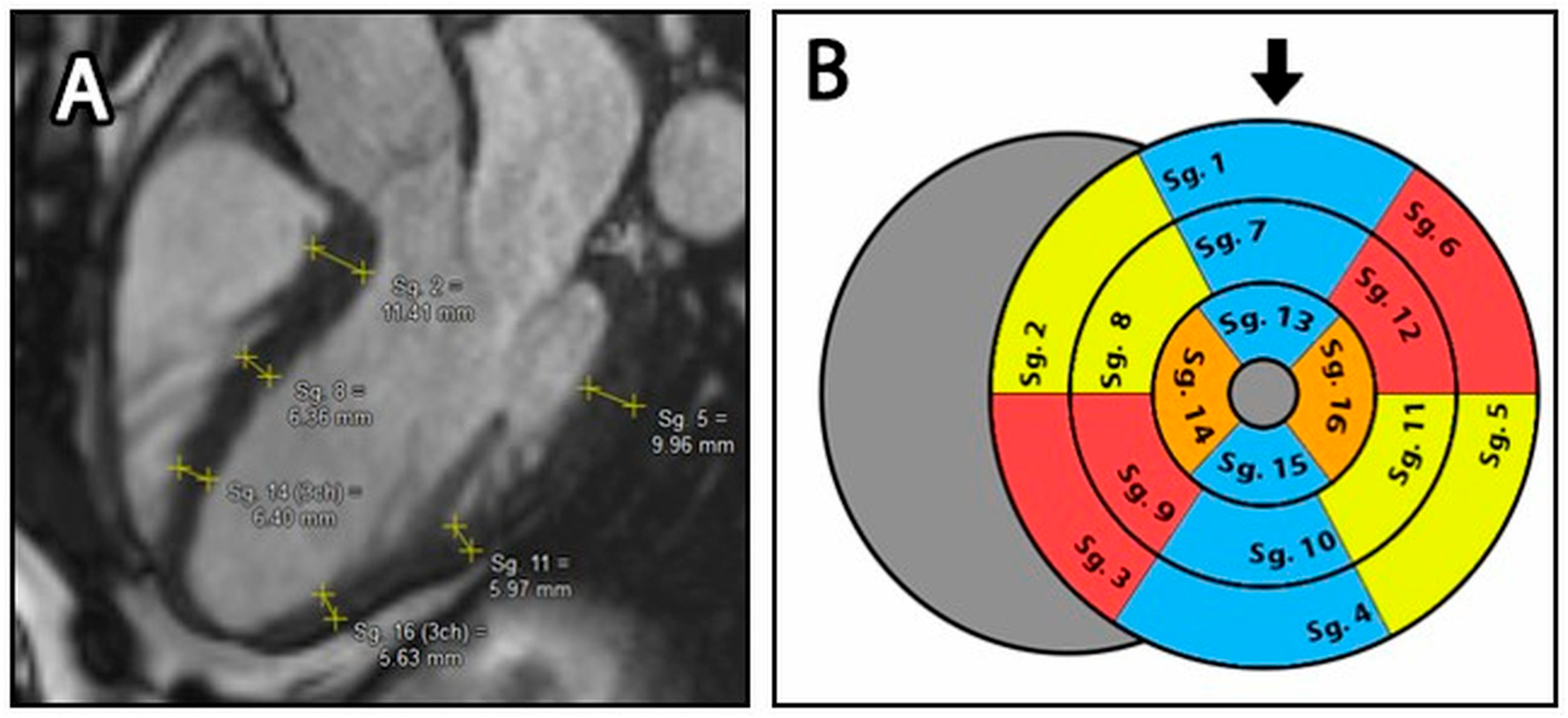 Jimaging 11 00357 g002