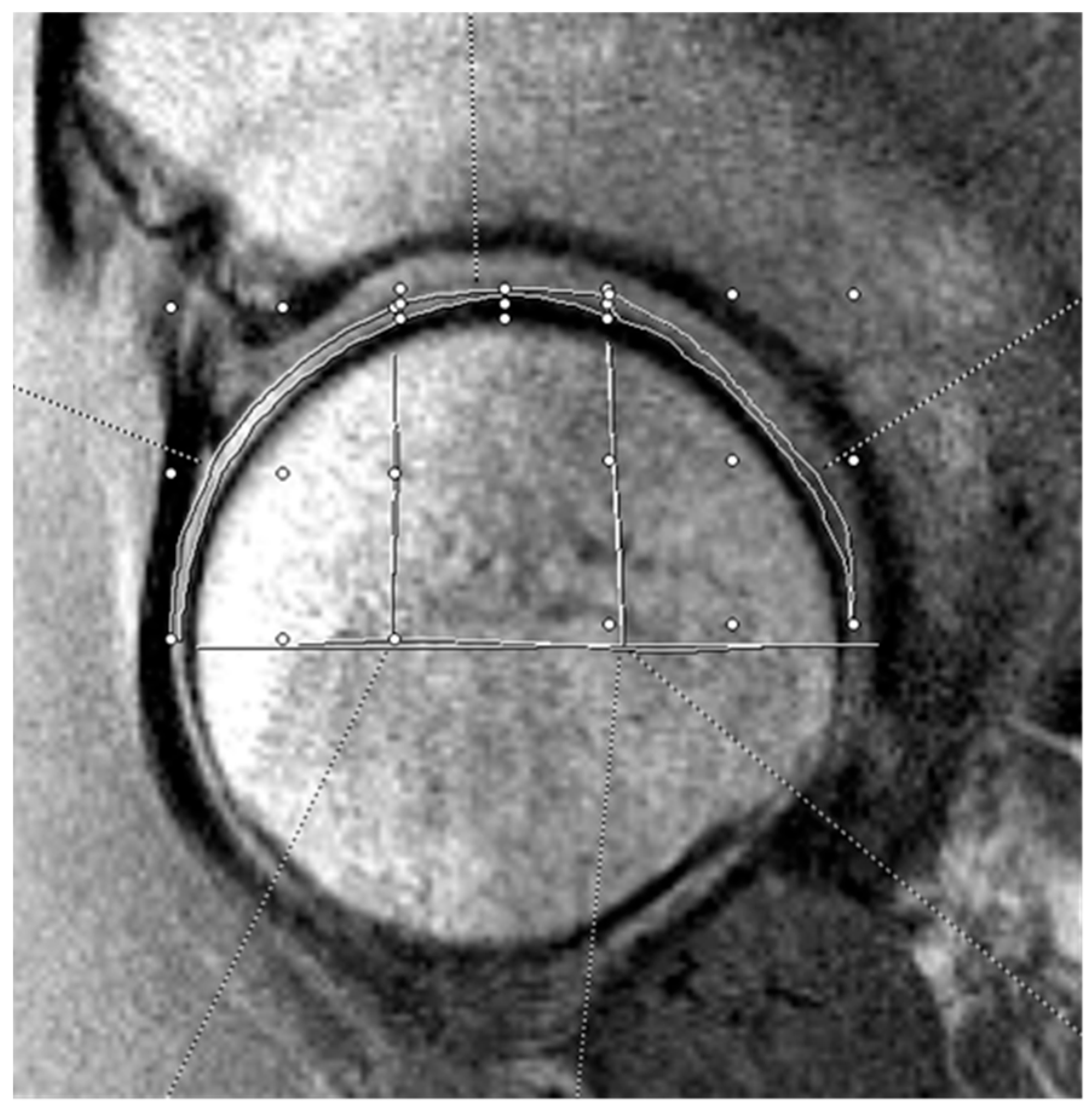 Jimaging 11 00363 g002