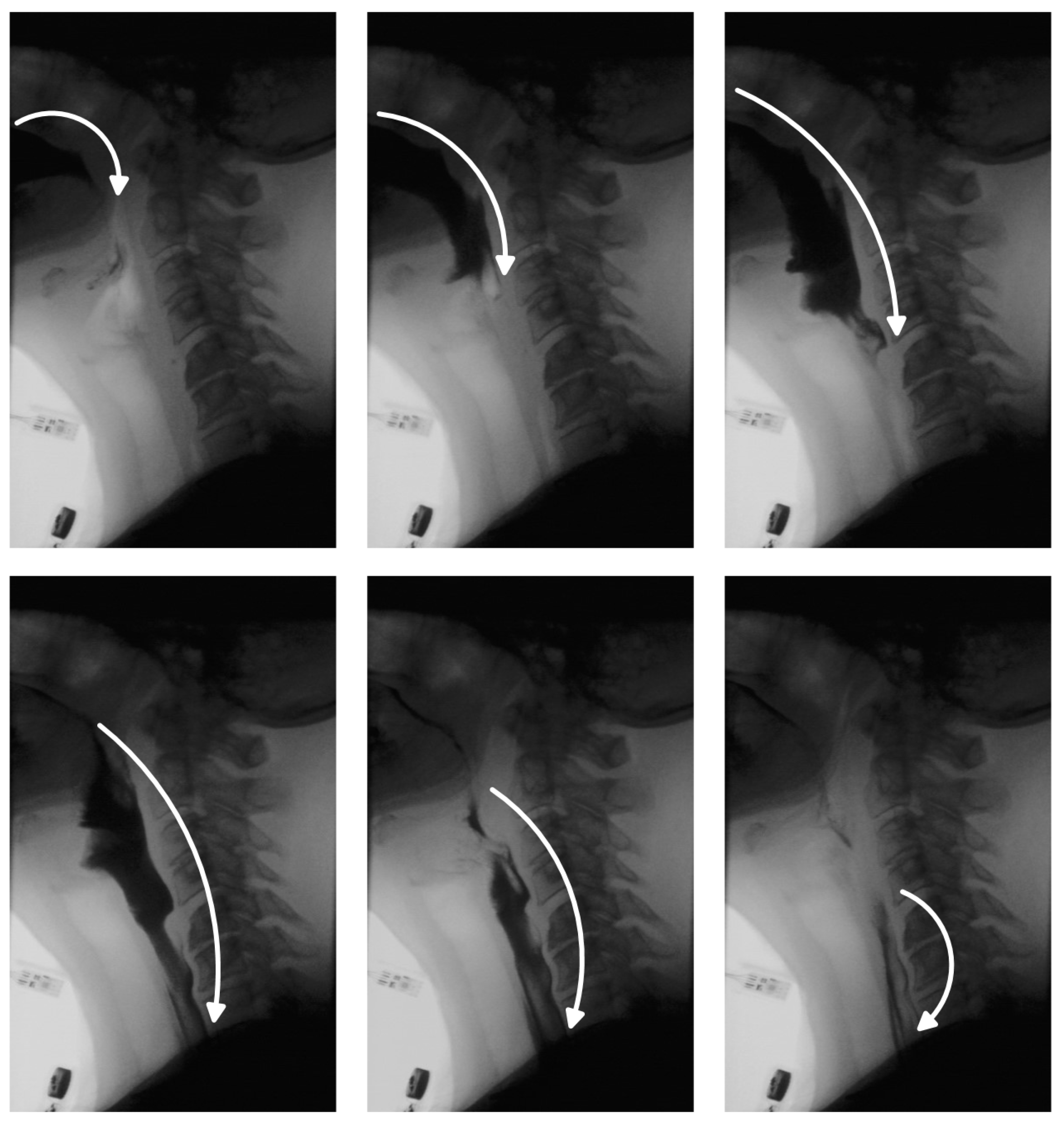 Jimaging 11 00368 g001