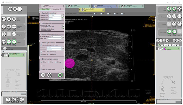 Jimaging 11 00369 g002