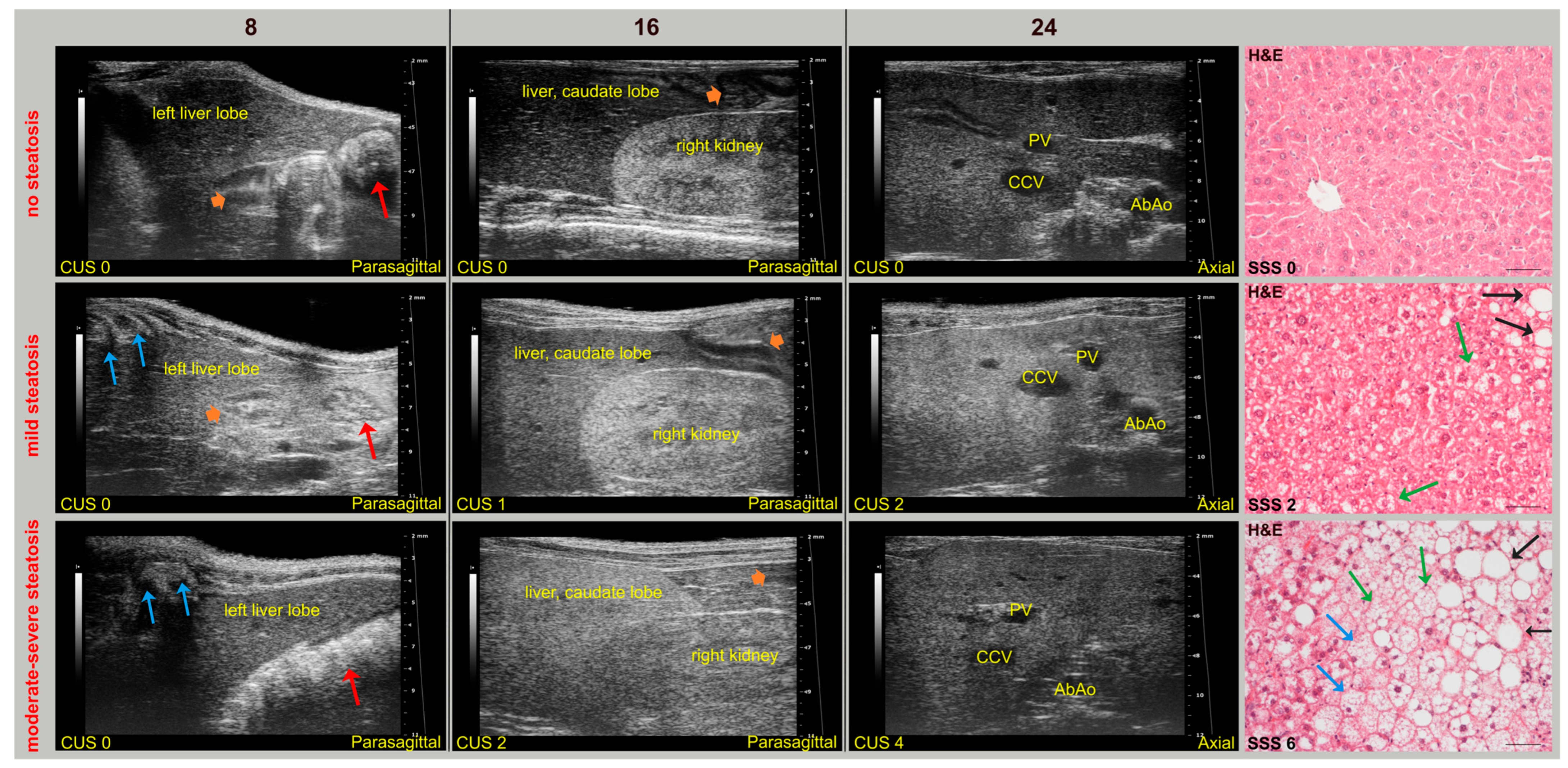 Jimaging 11 00369 g004