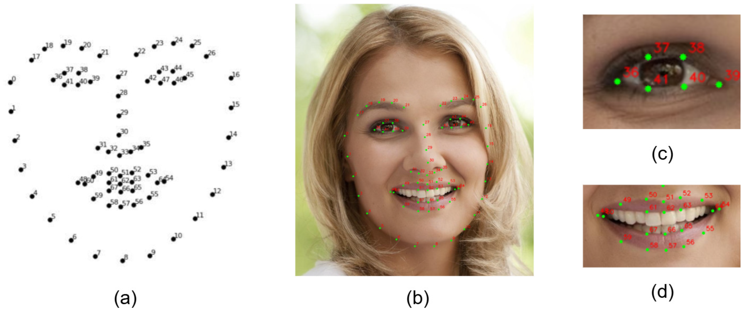 Jimaging 11 00385 g005