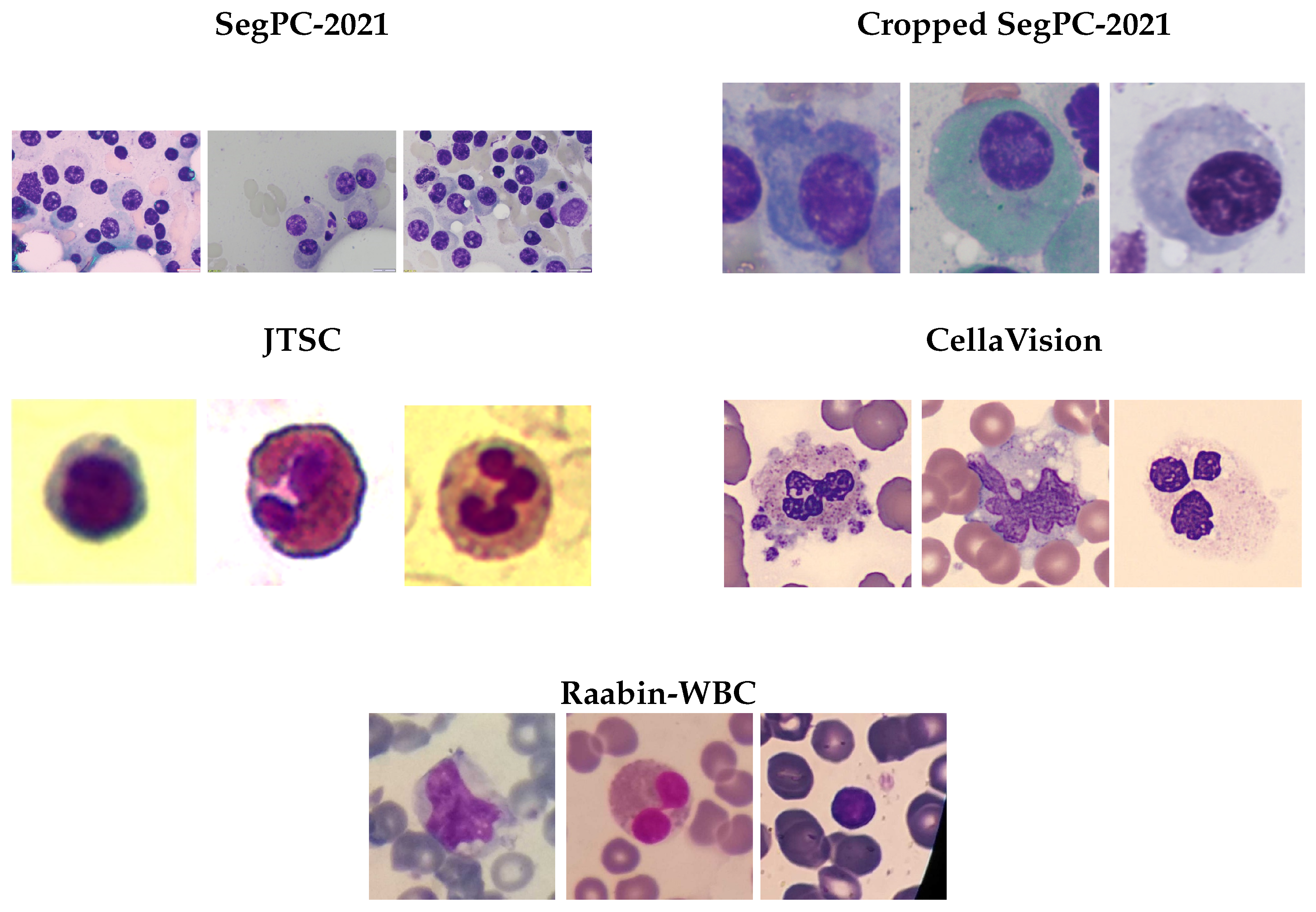 Jimaging 11 00386 g002